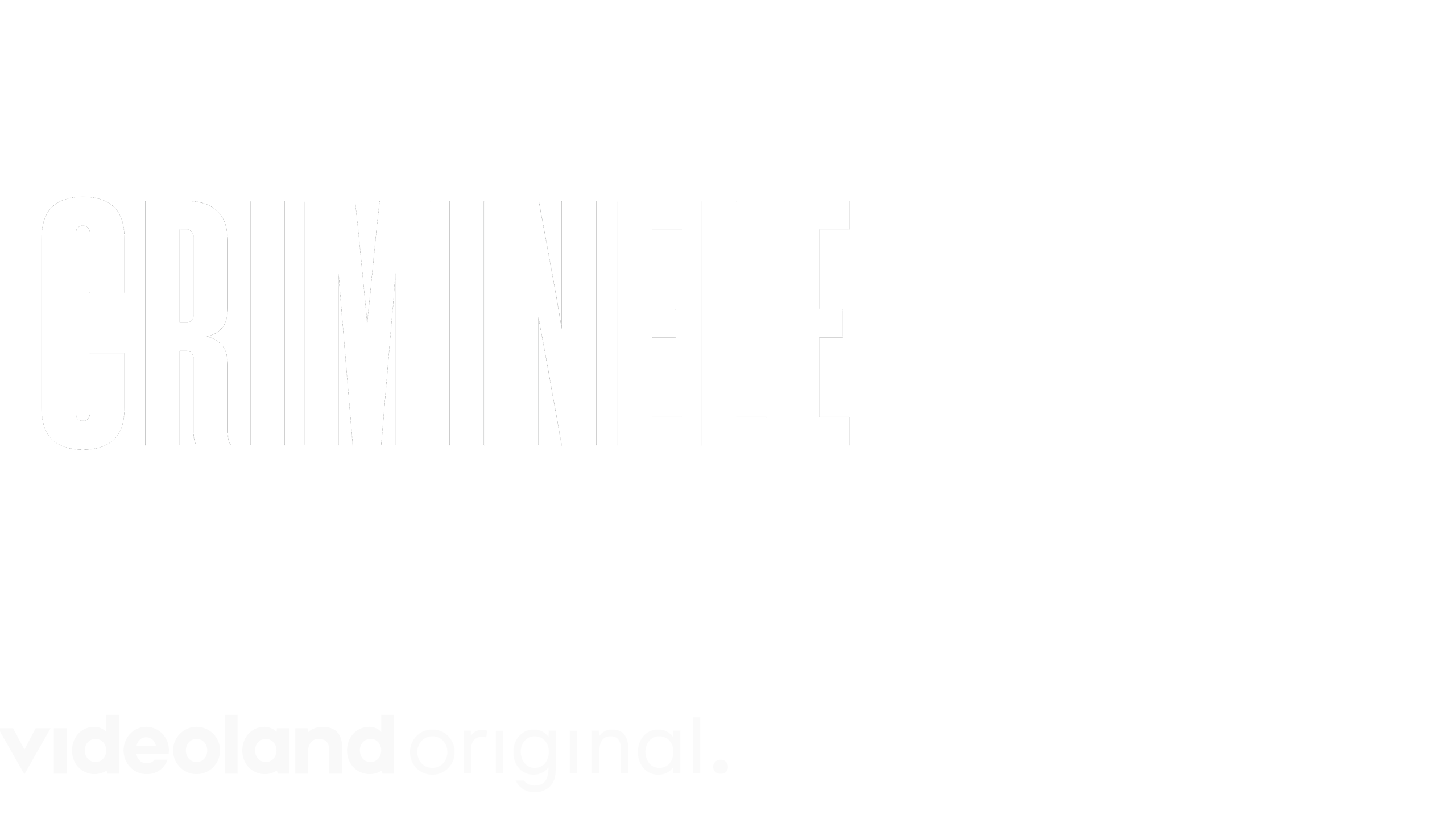Het Criminele Jaar 2024