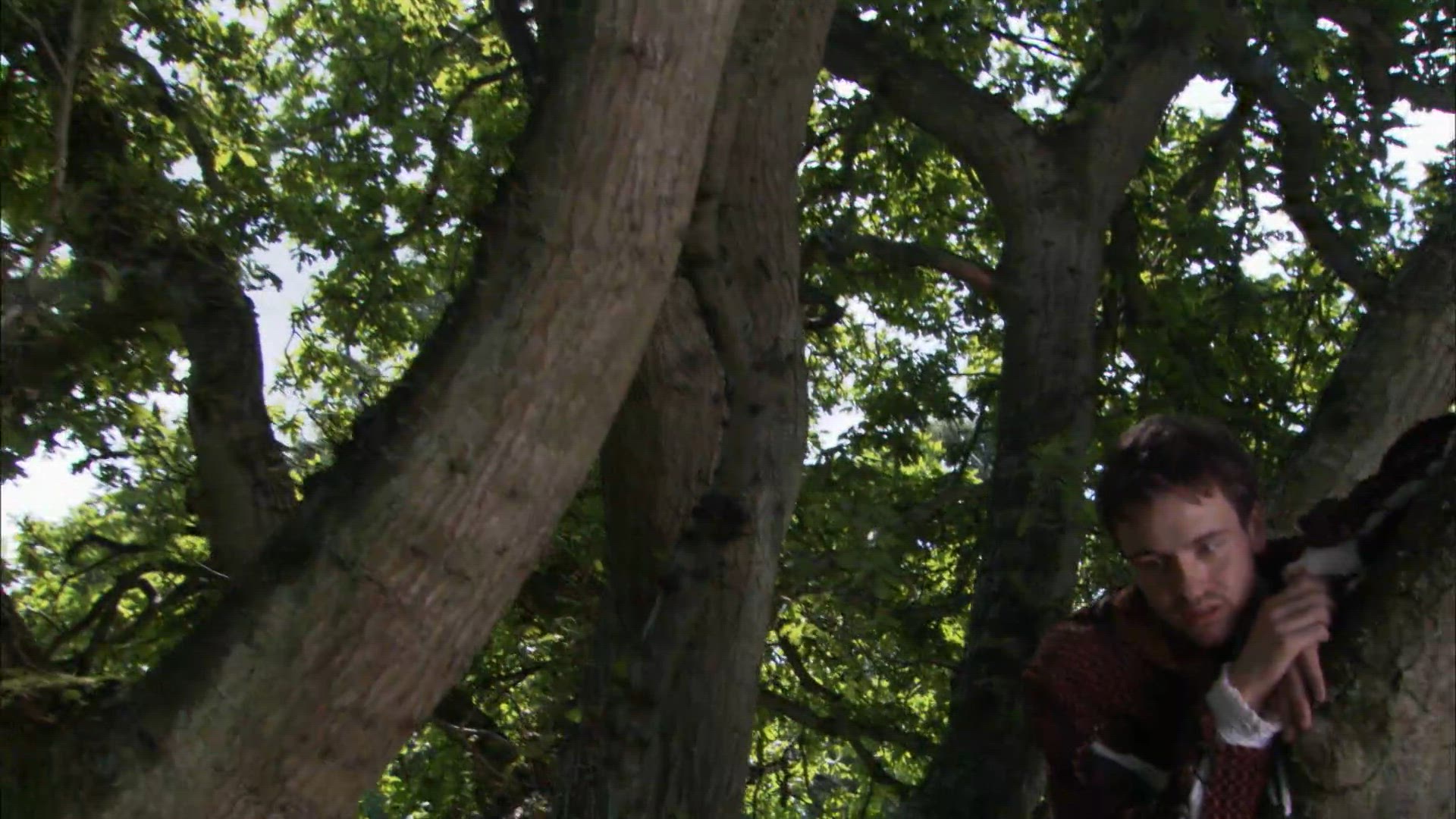 Wolsey, Wolsey, Wolsey!