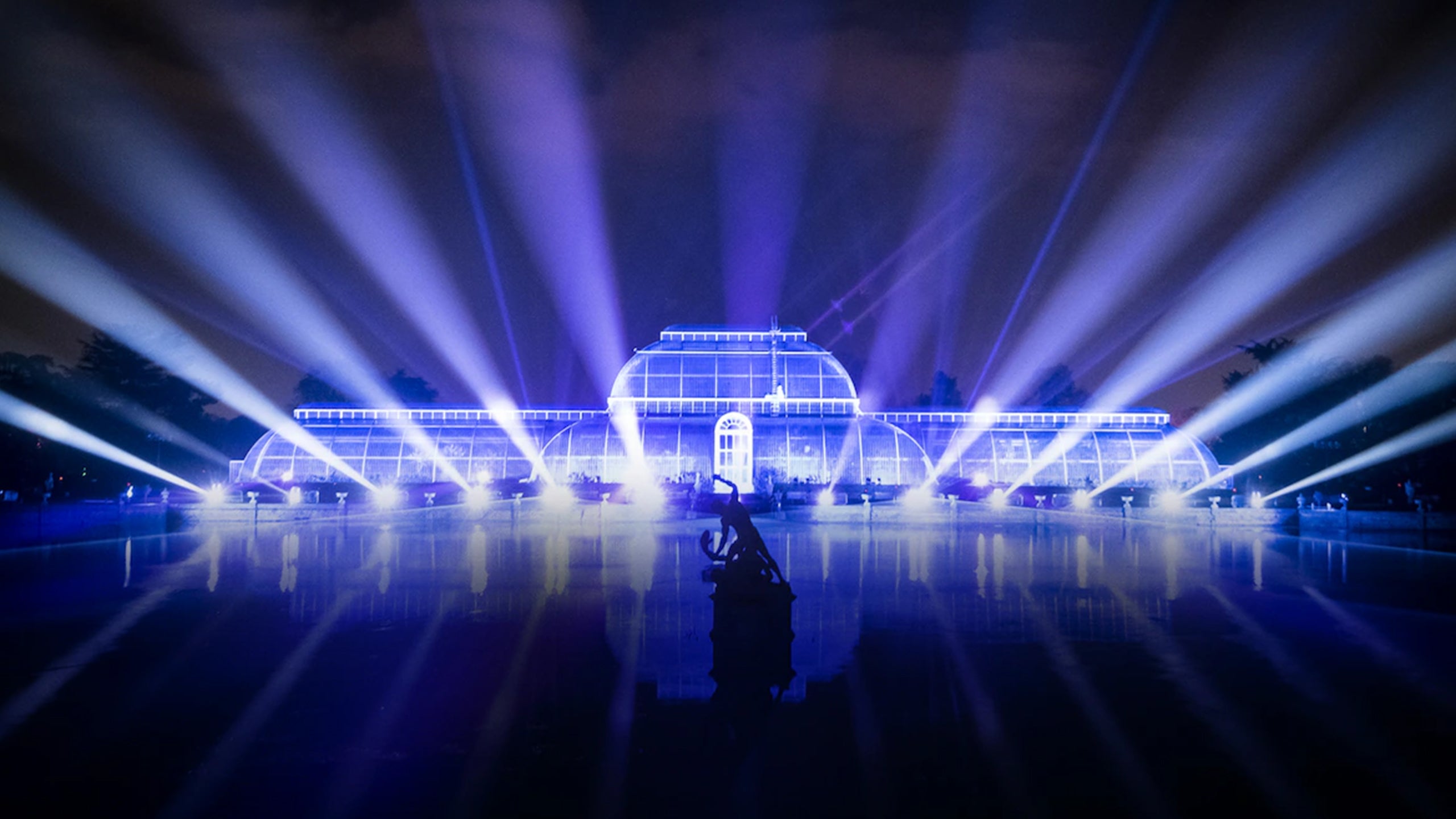 Lighting Up Christmas