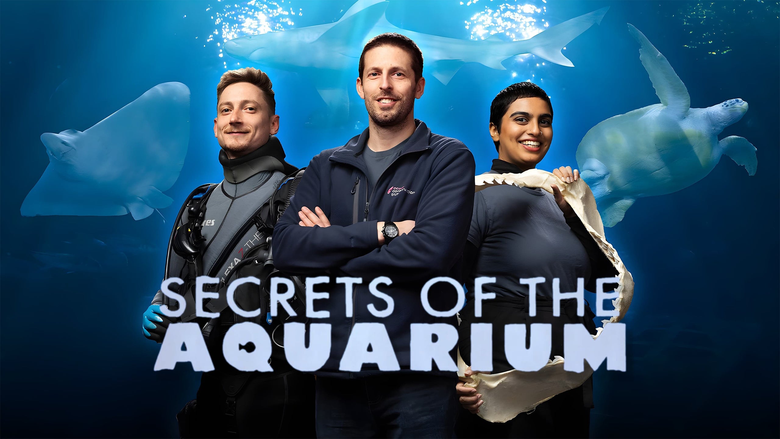 Secrets Of The Aquarium