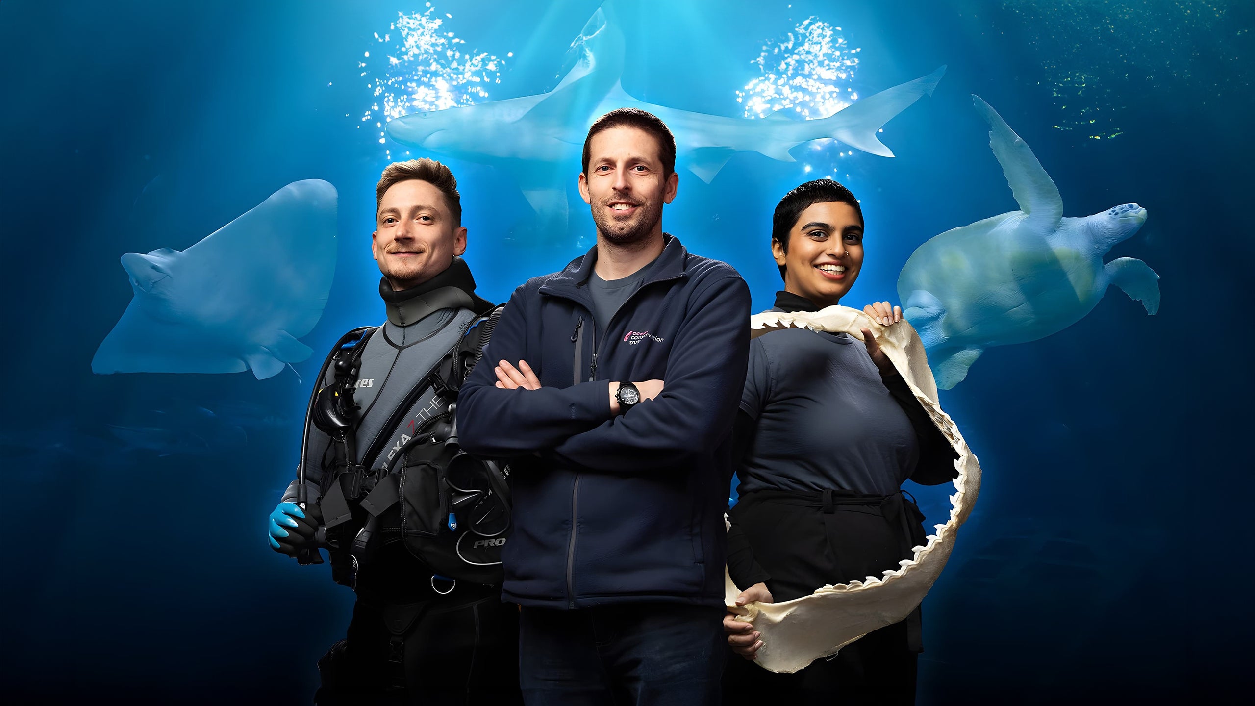 Secrets Of The Aquarium