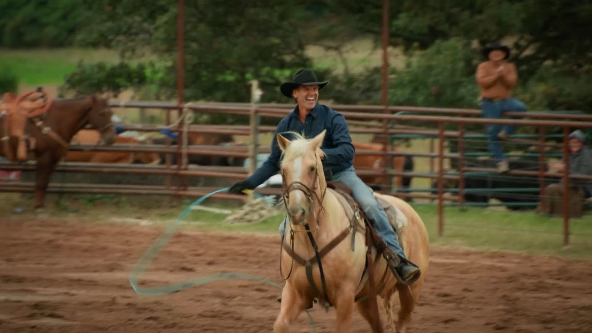 Steers, Fears And Tears