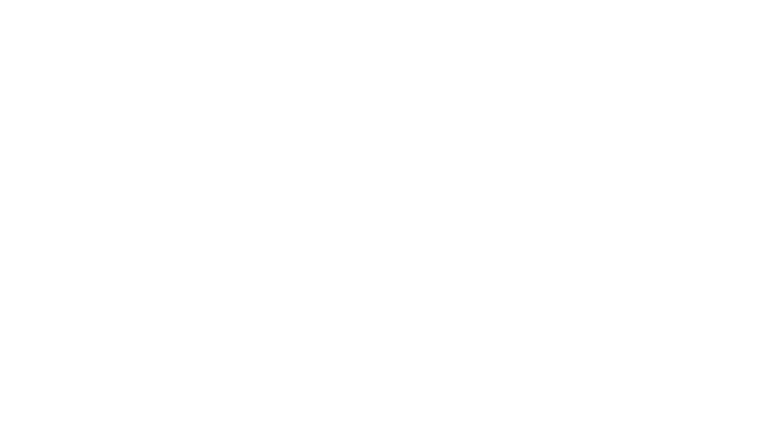 's Werelds Duurste Sneakers