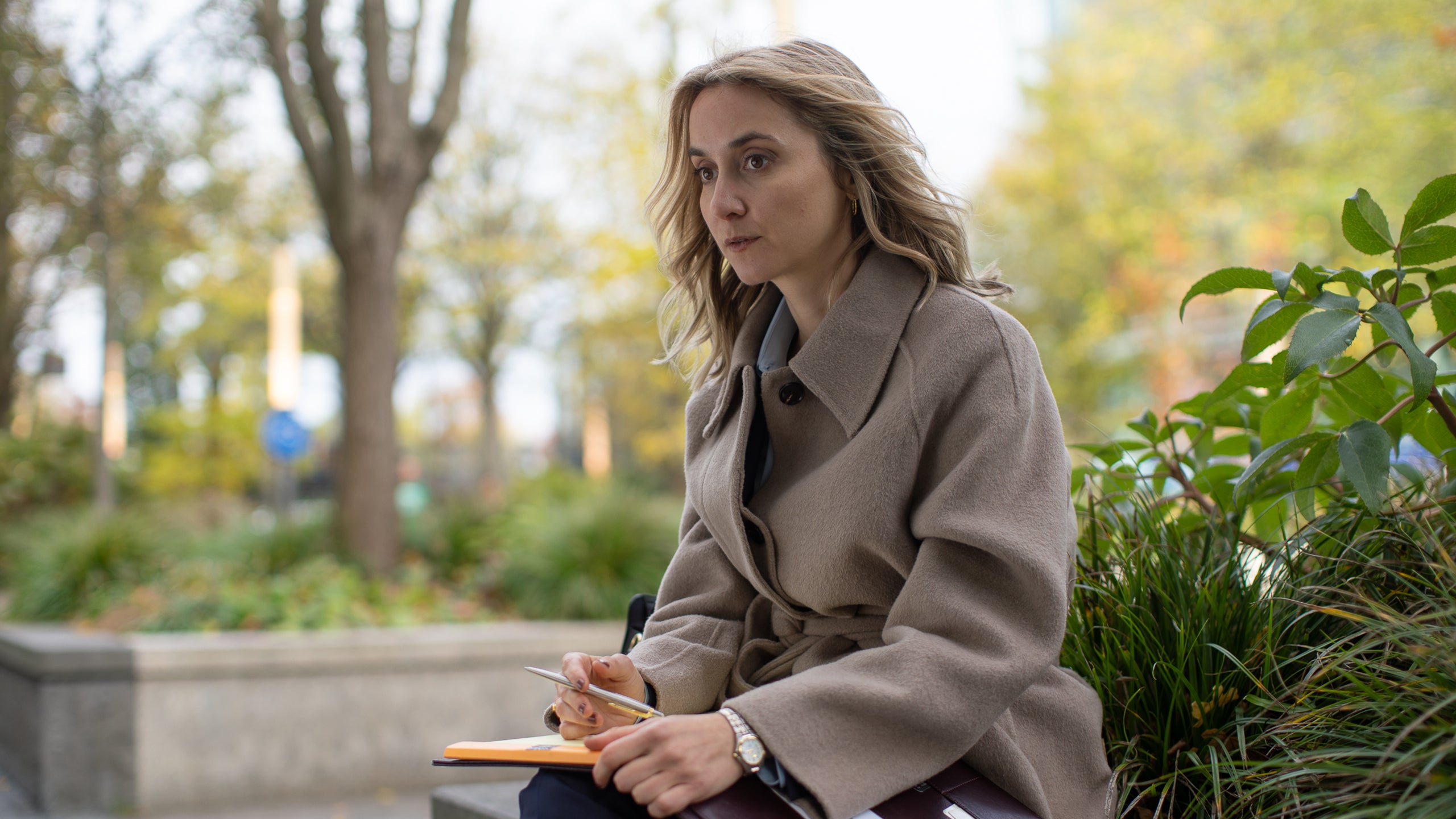 Testis Unus, Testis Nullus