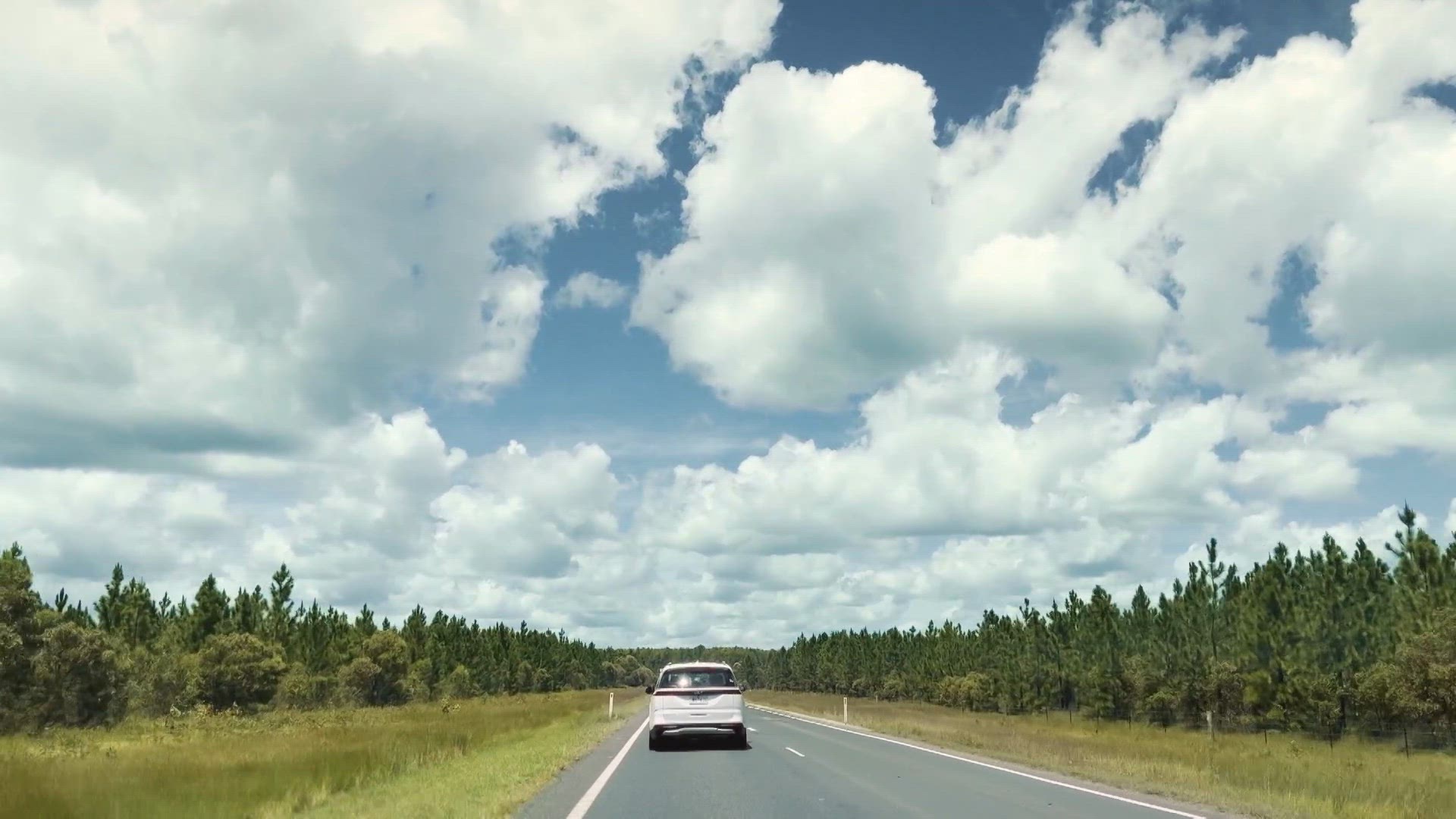 De Gooris Met Zijn Kaketoe