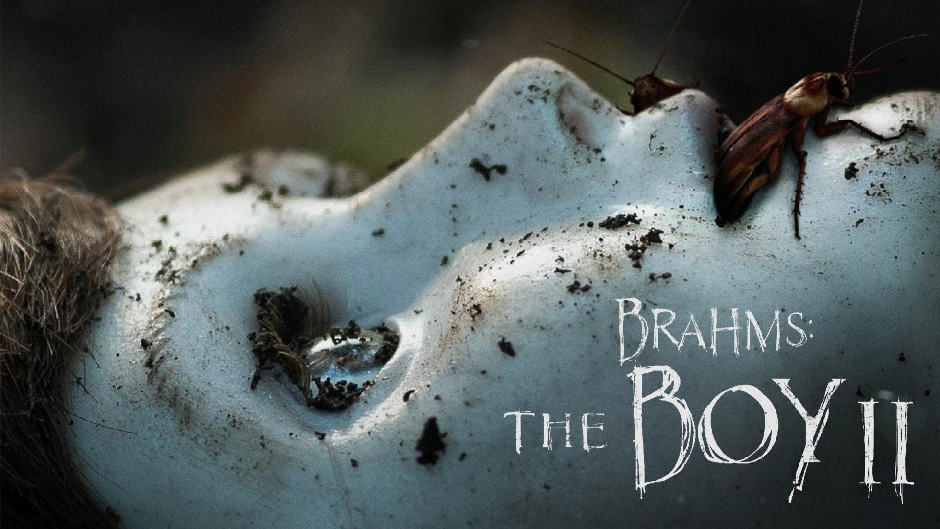 Trailer: The Boy: Brahms' Curse