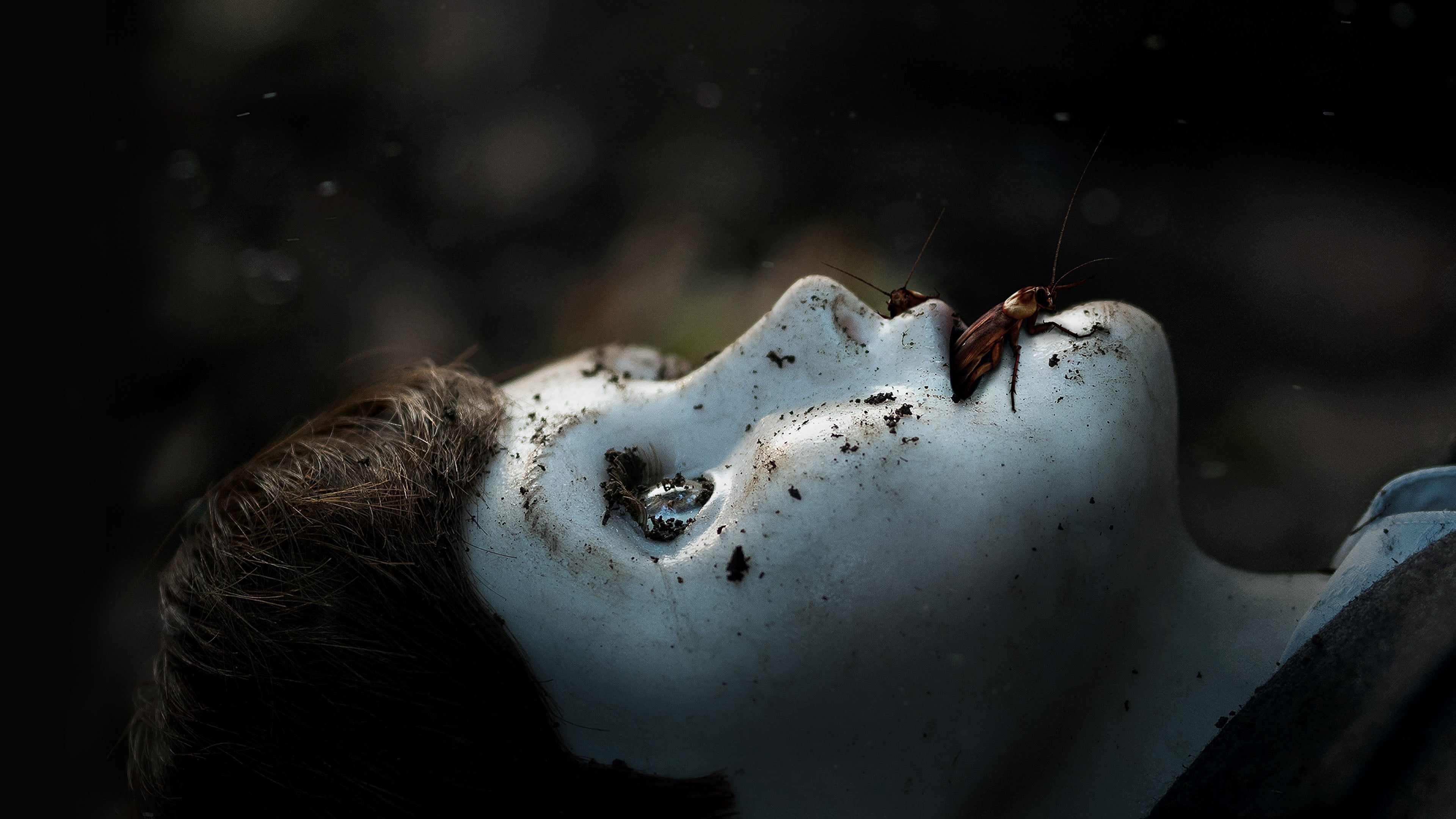 The Boy: Brahms' Curse