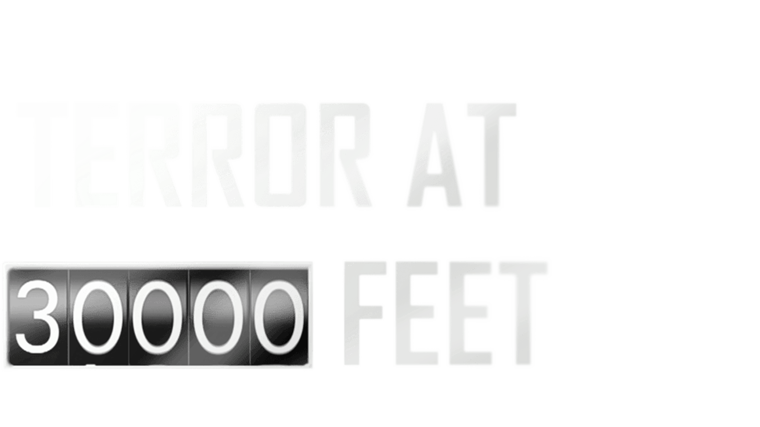 Terror At 30.000 Feet