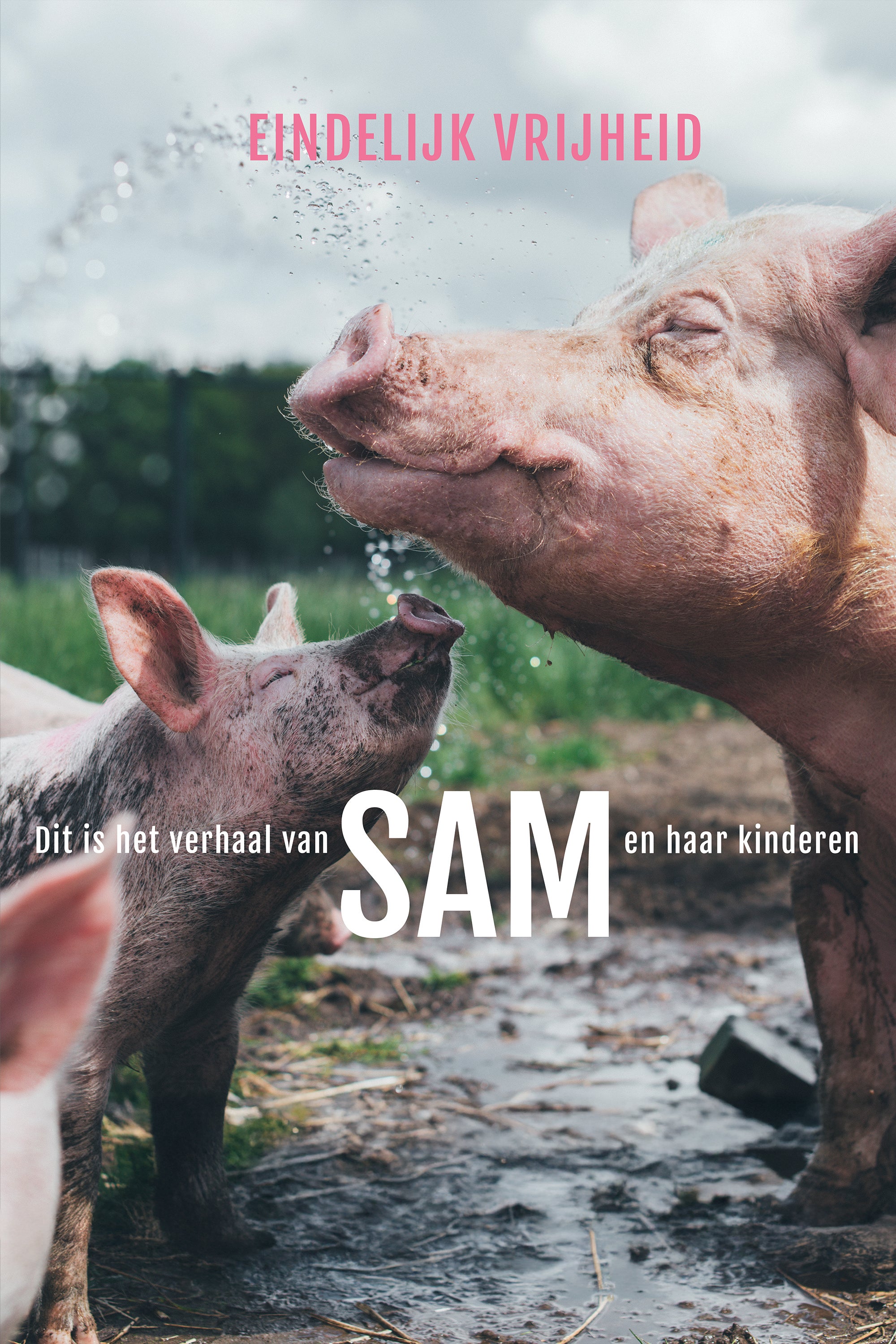 SAM: Uit Liefde Voor Het Leven