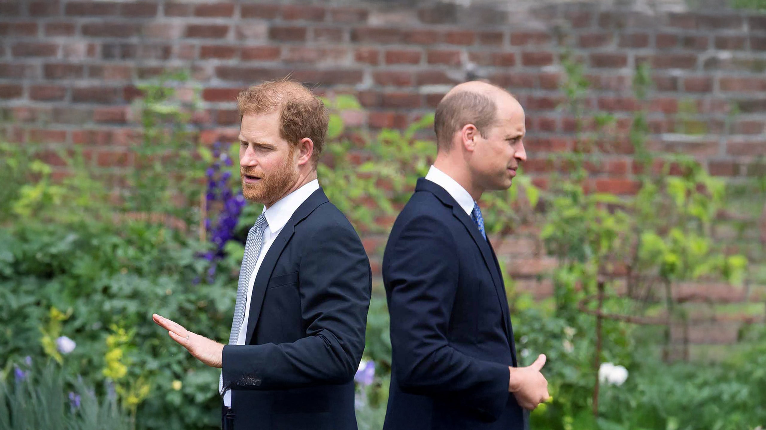 Harry And William: Rise And Fall