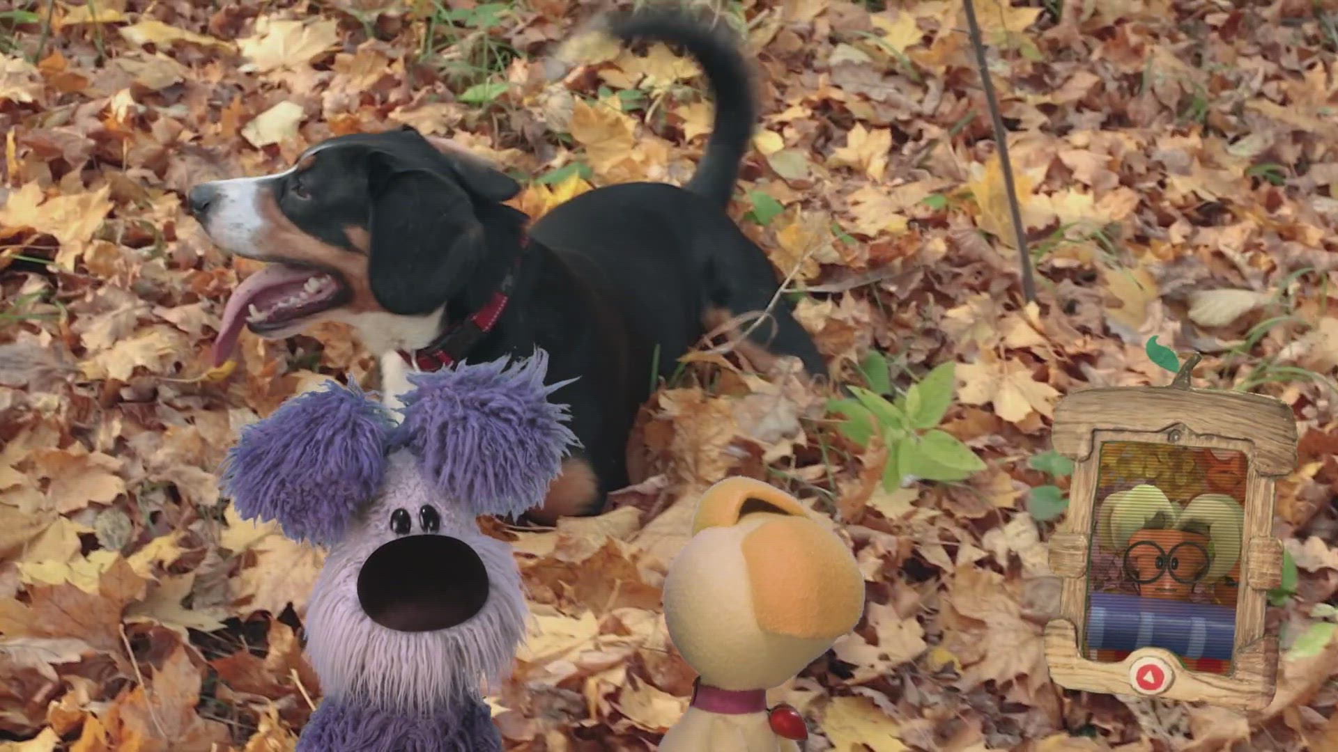 Hoe Voel Jij Je Vandaag?