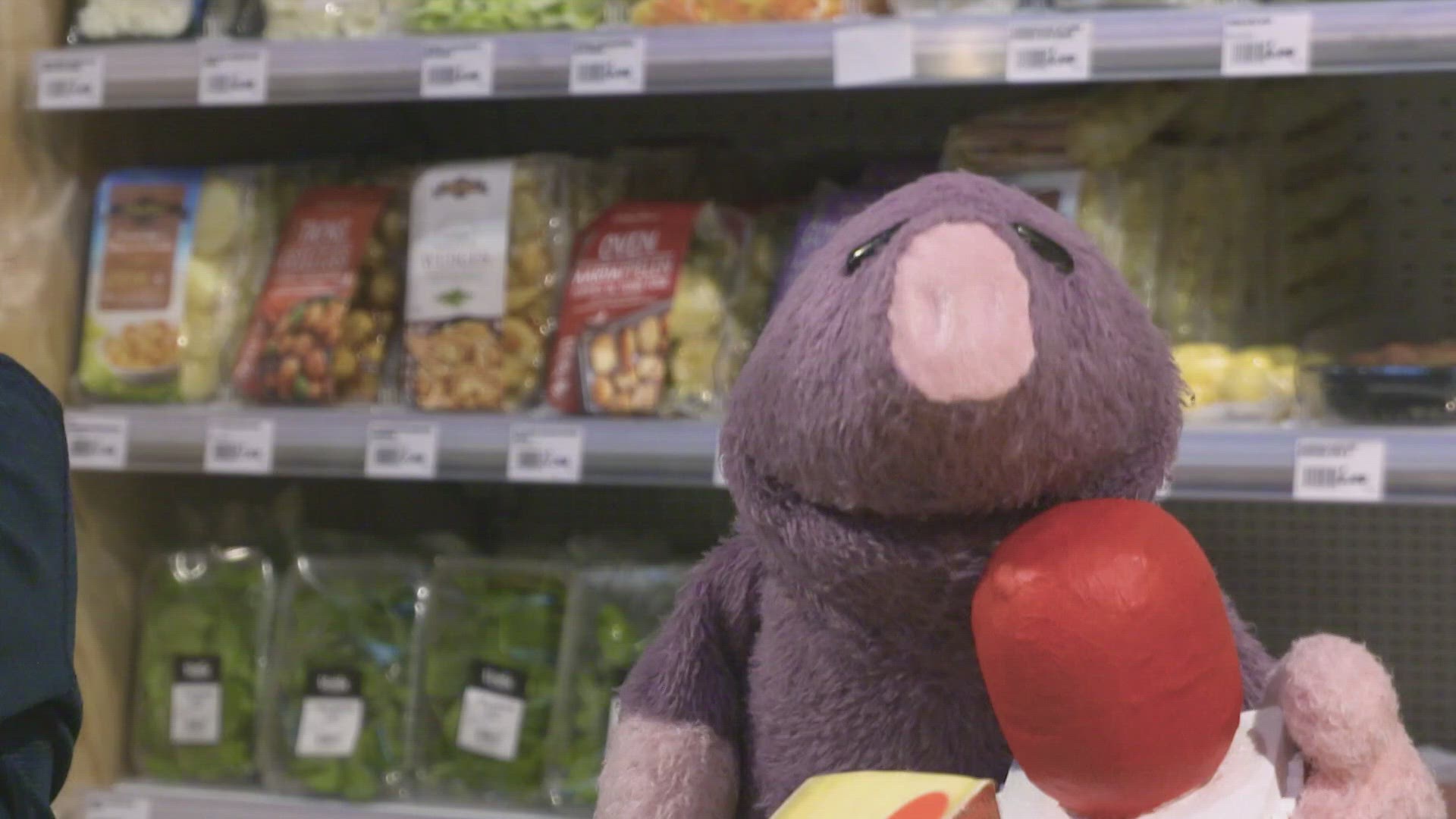 Wat doe jij vandaag?