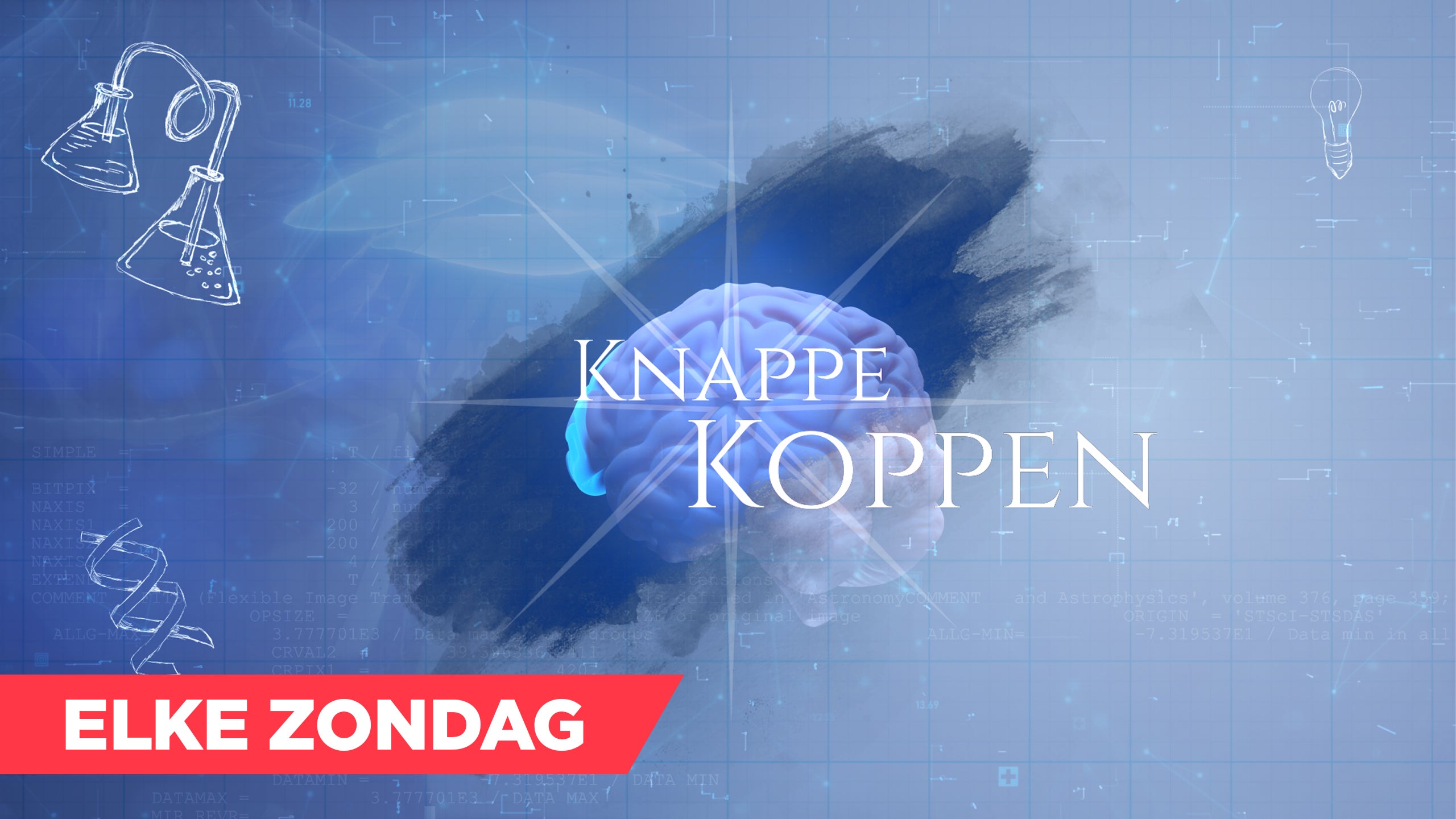 Knappe Koppen