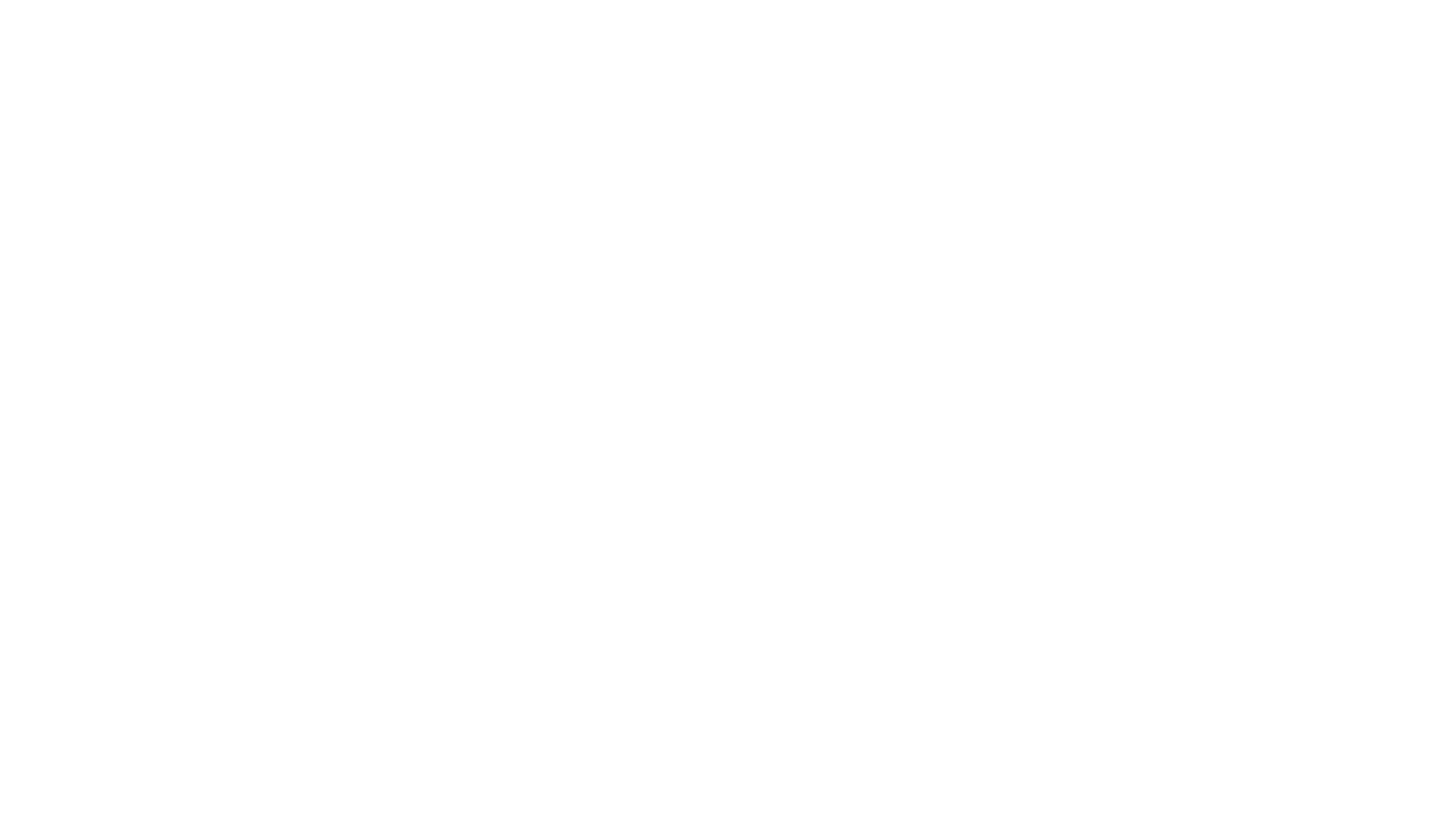 Het Beste Van De Douane In Actie