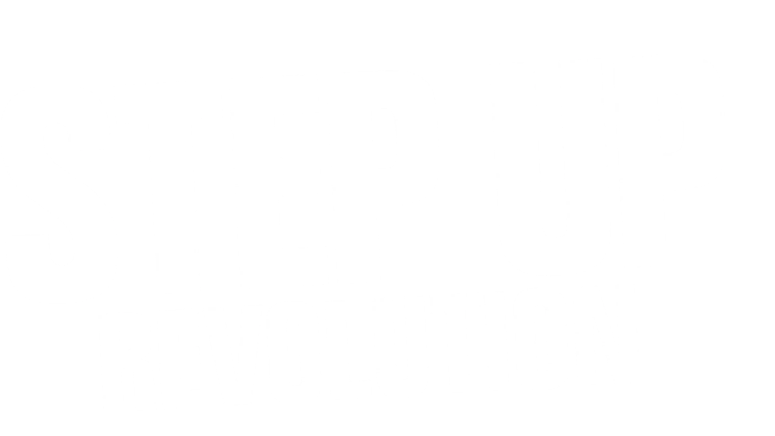 Step Up 4: Miami Heat