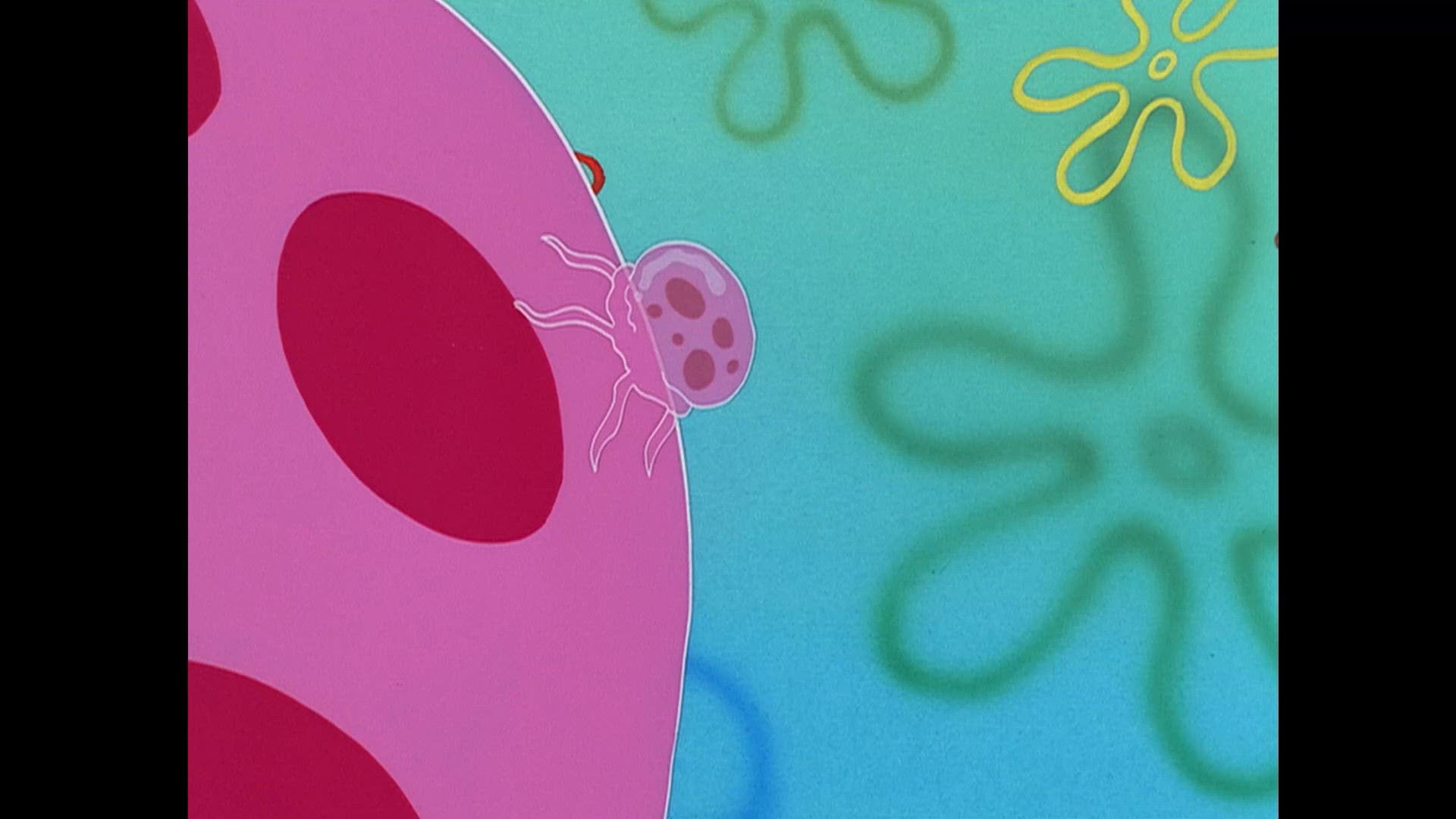 Kwallenvissen/Plankton!