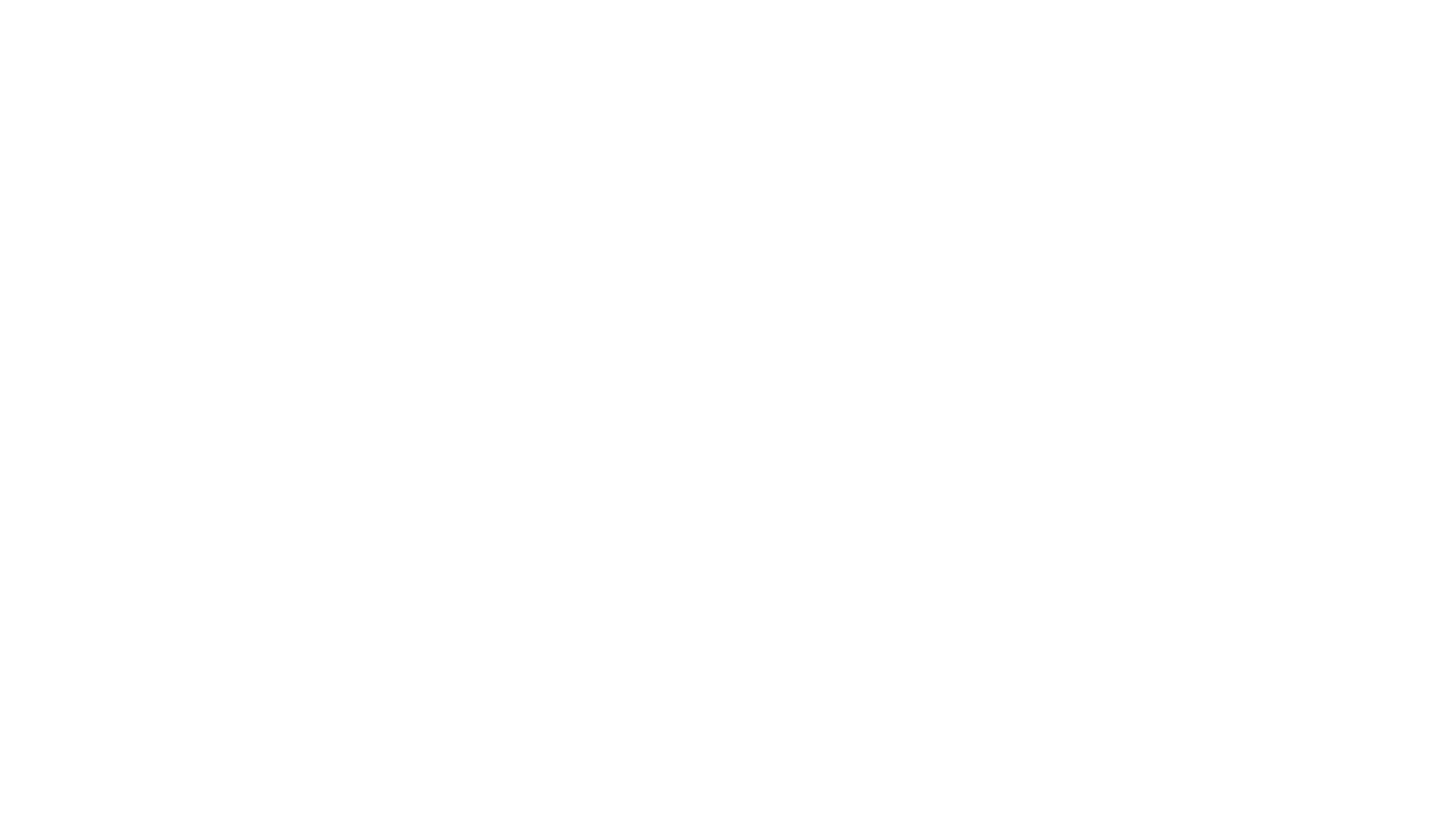 Franky en Coen: Patatje Hoop