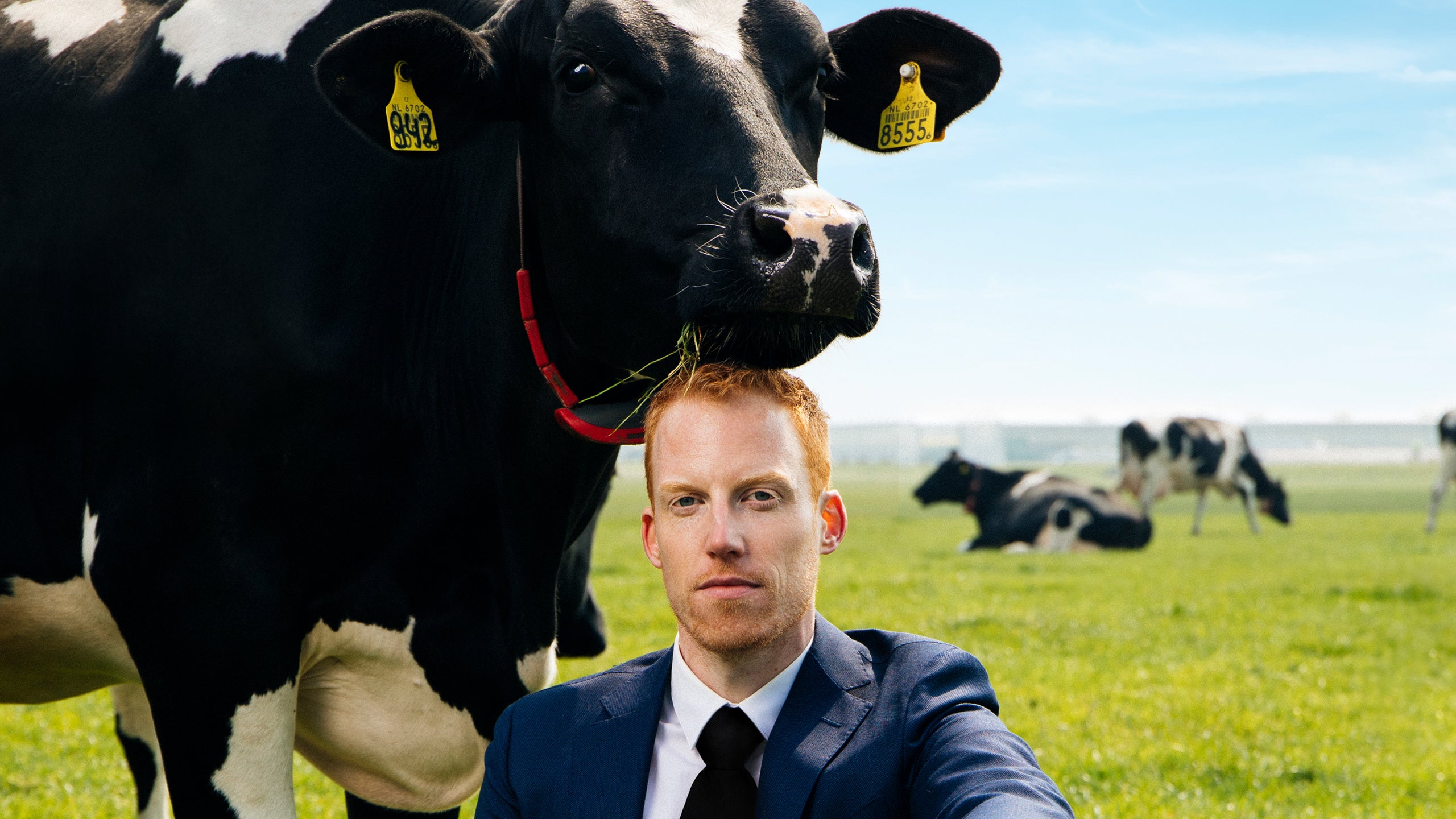 René Van Meurs - 2636