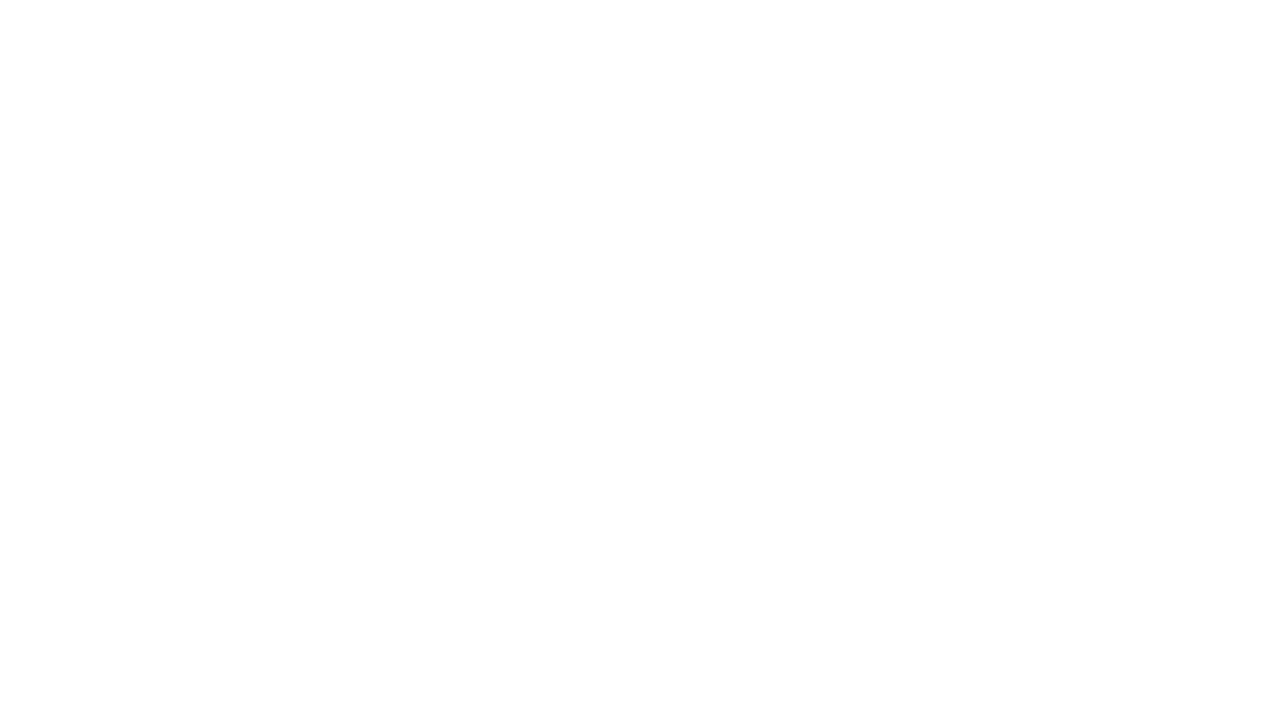 A Holiday Wish Come True