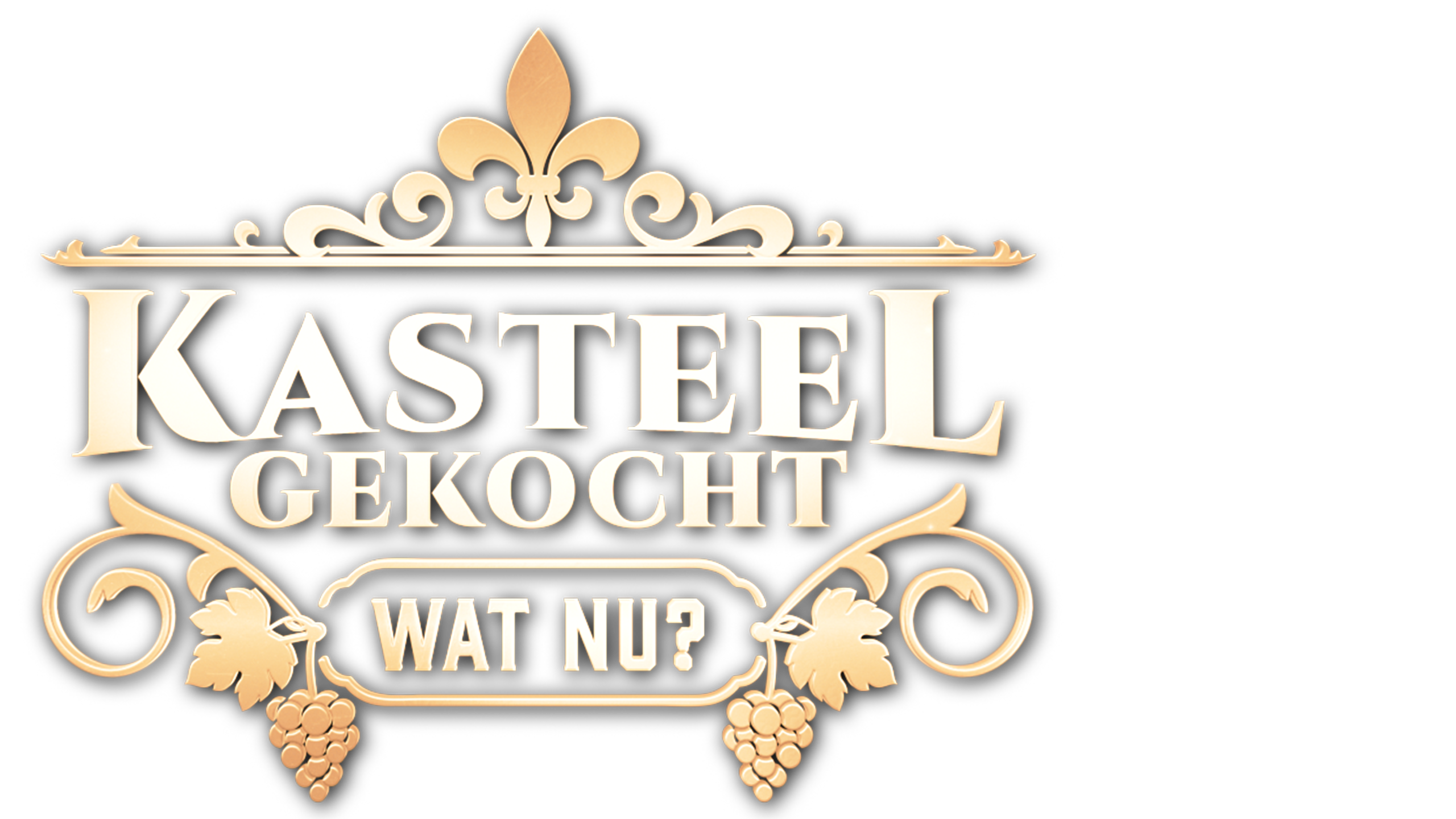 Kasteel Gekocht, Wat Nu?