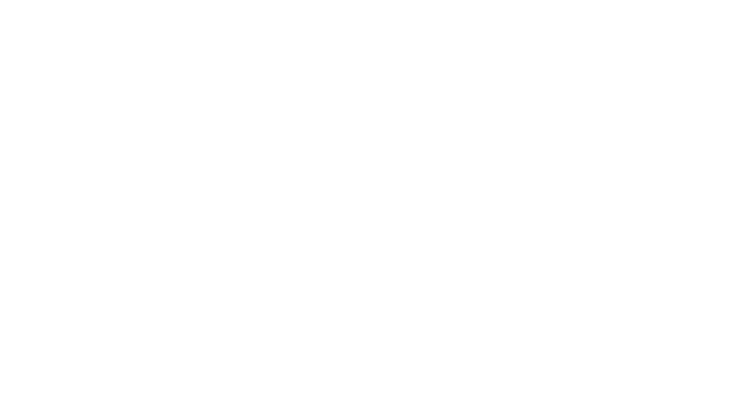 Stop! Politie