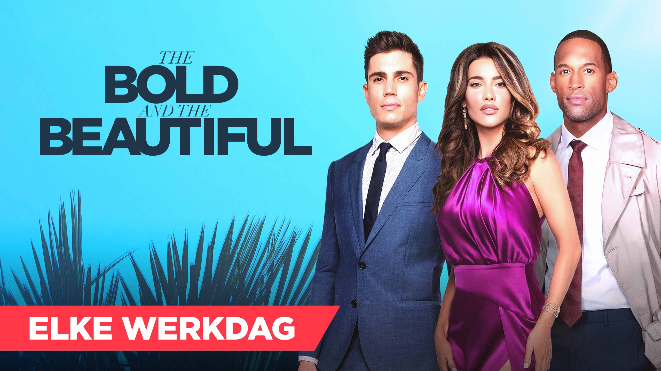 The Bold And The Beautiful