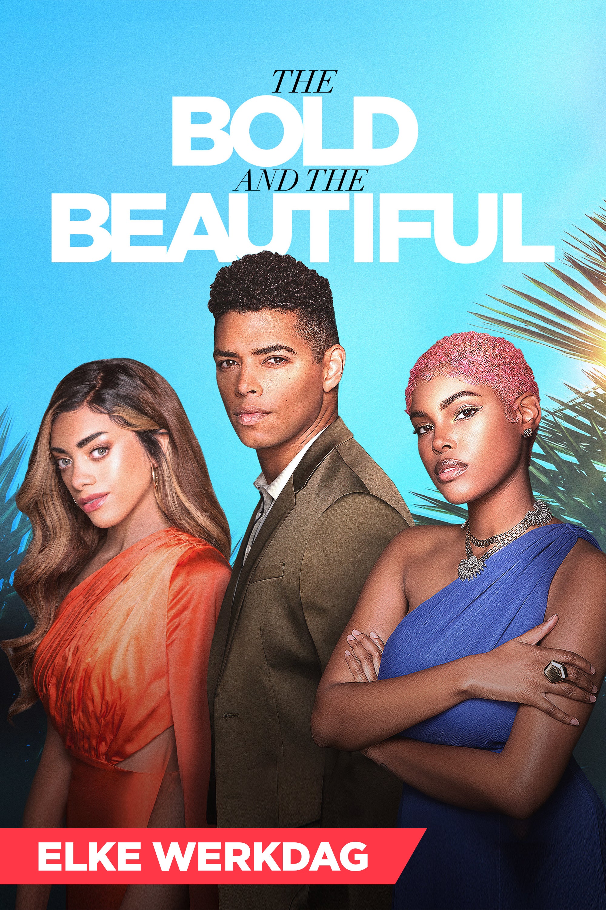 The Bold And The Beautiful