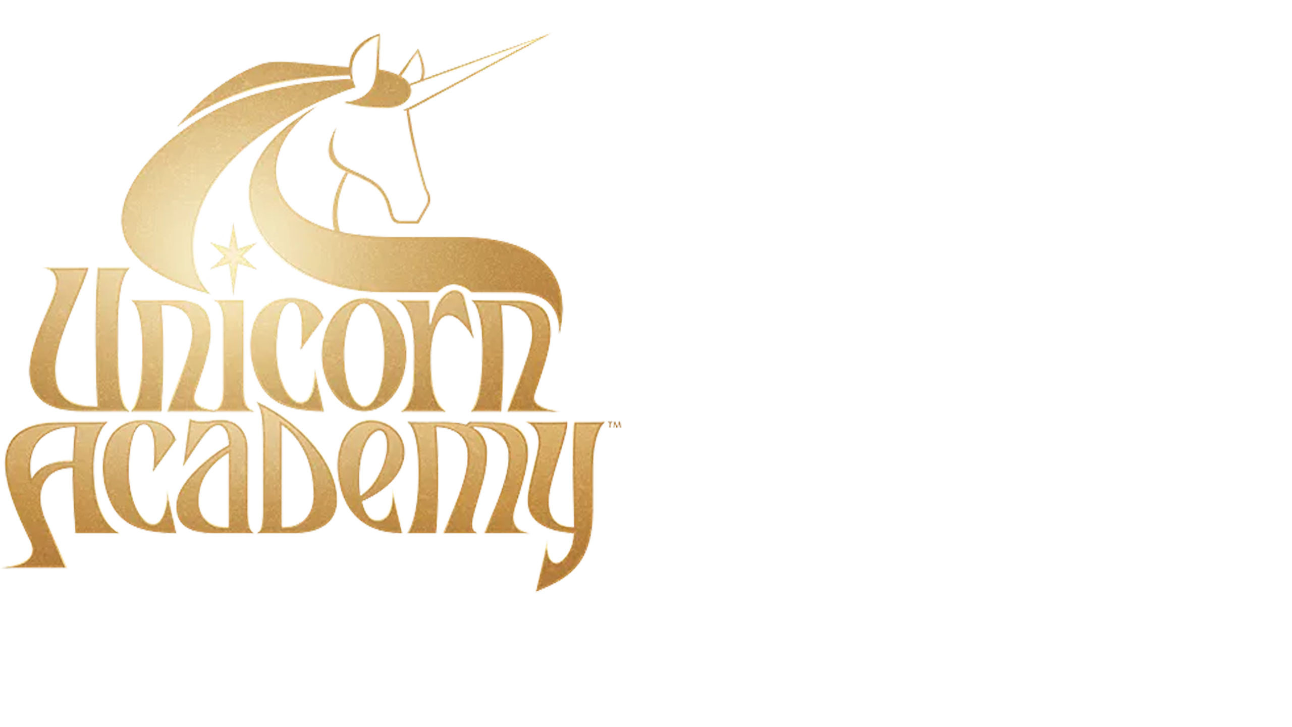 The Unicorn Academy Fireplace