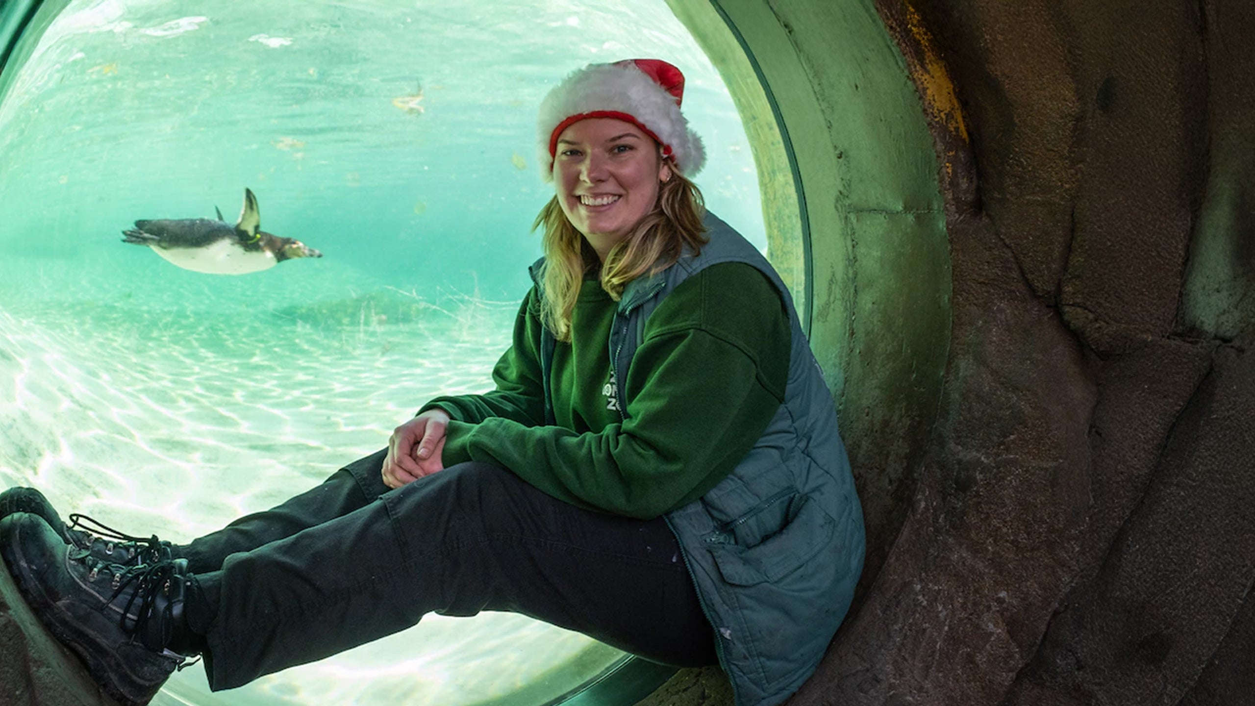London Zoo At Christmas