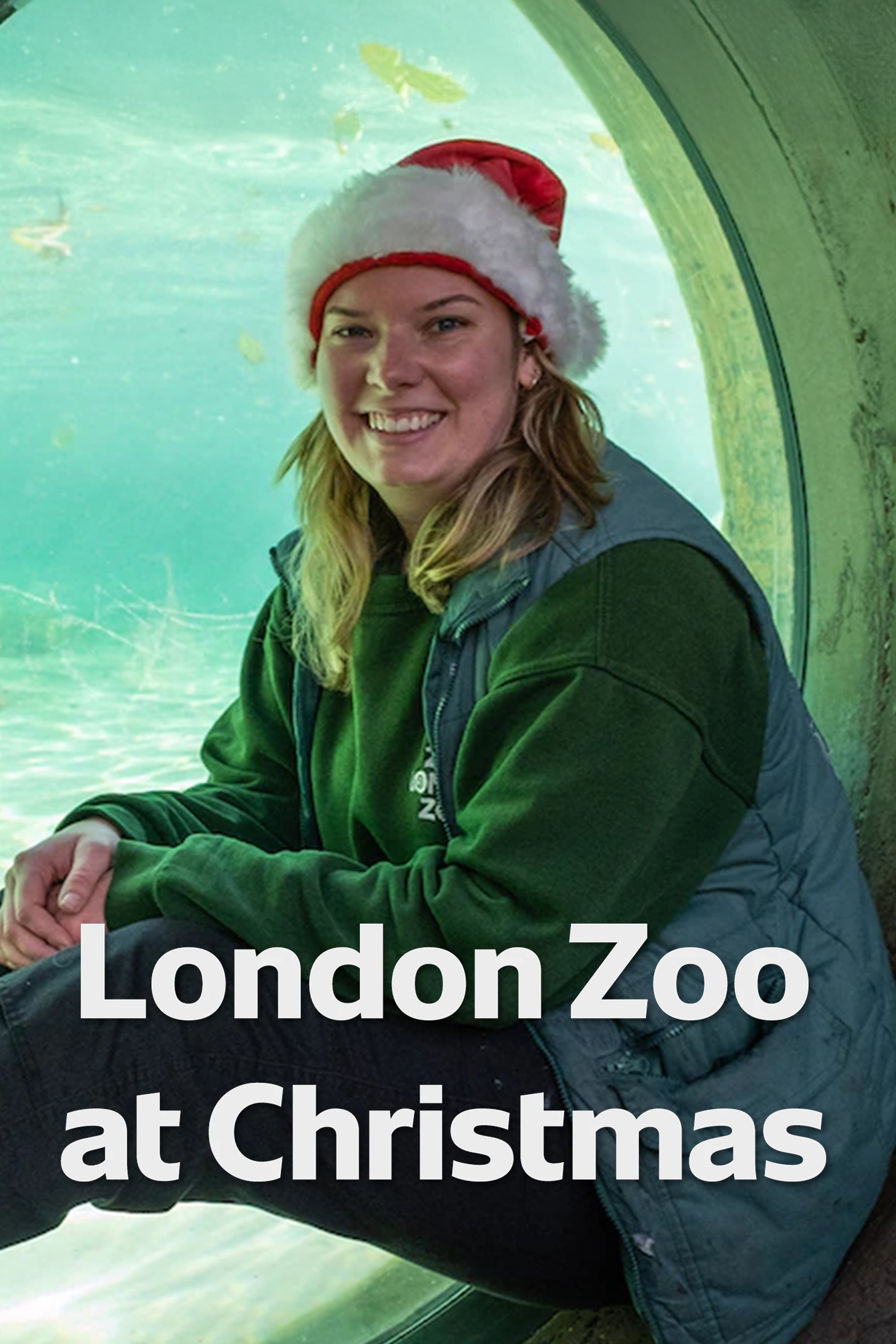 London Zoo At Christmas