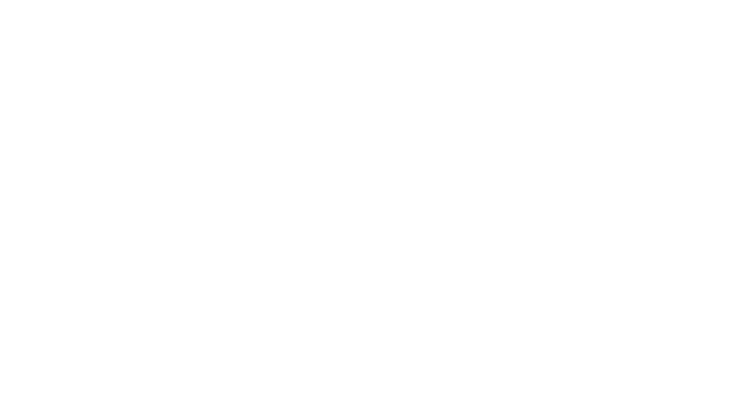 The Finnish Line