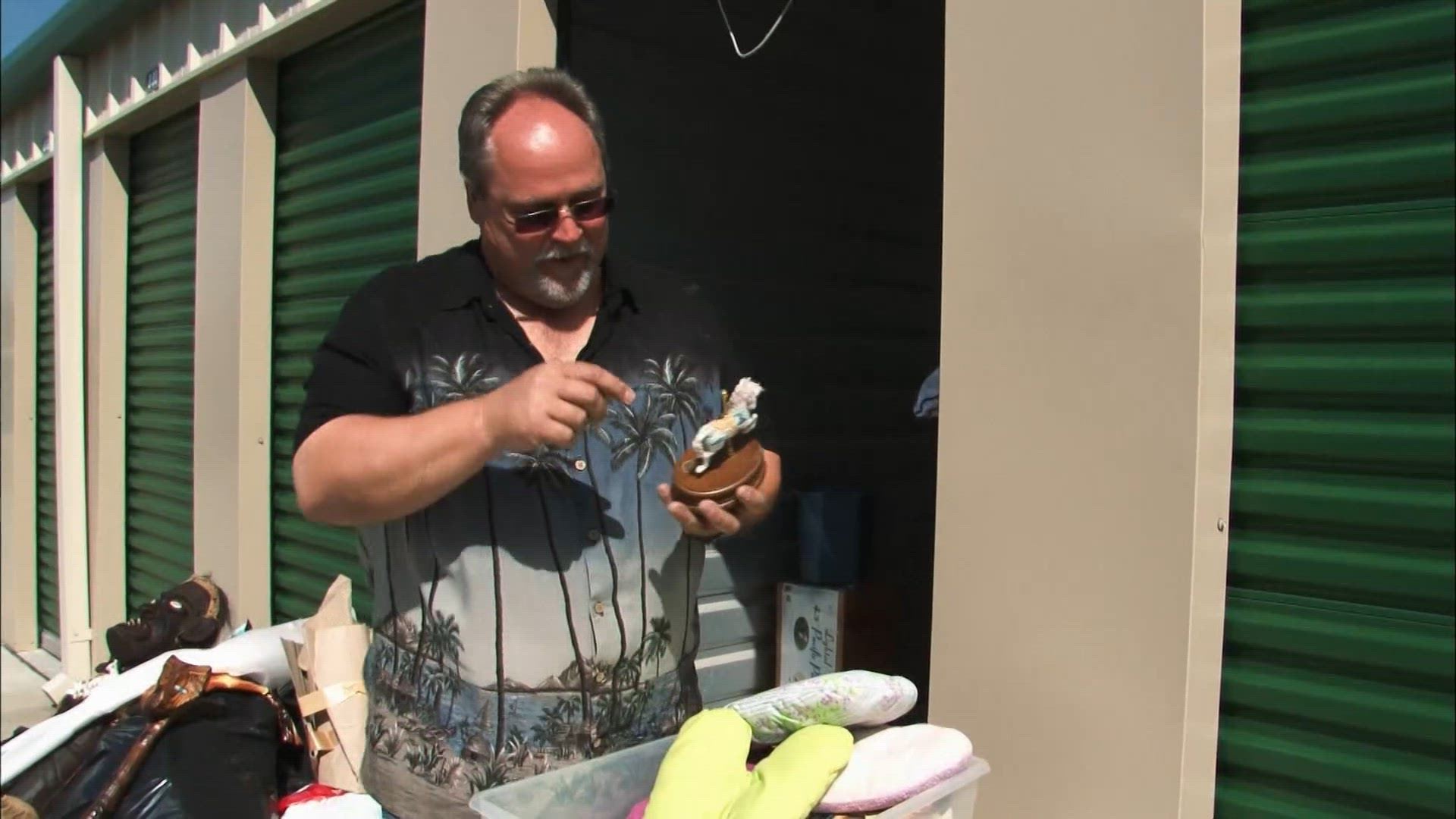 The fast and the curious