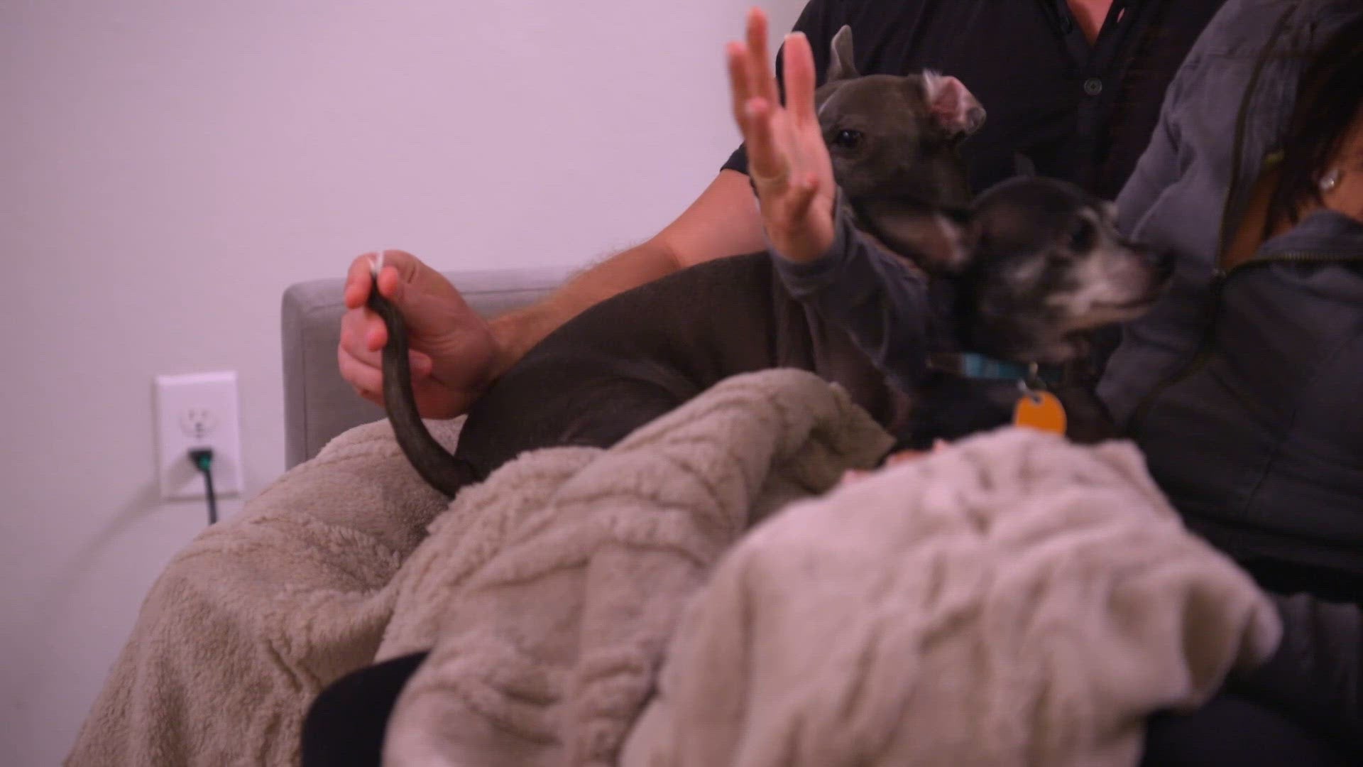 Anniversary Adventures