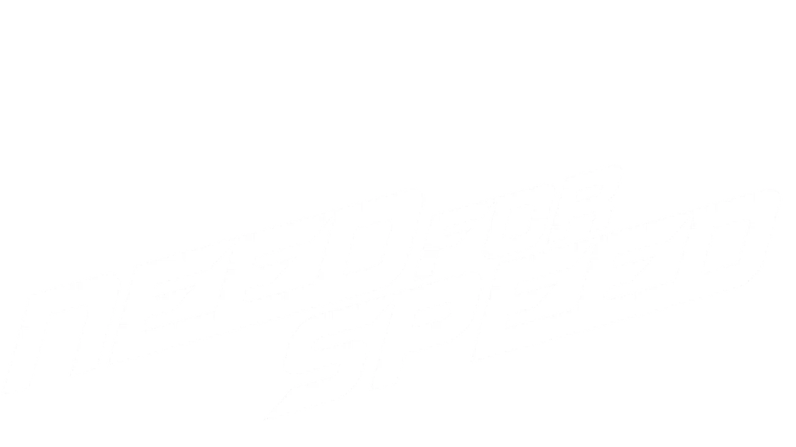 Need For Speed