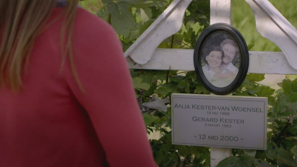 De Kaarten Opnieuw Geschud