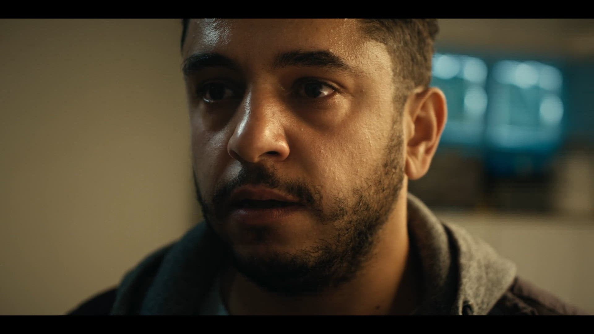 Roofdieren En Prooien