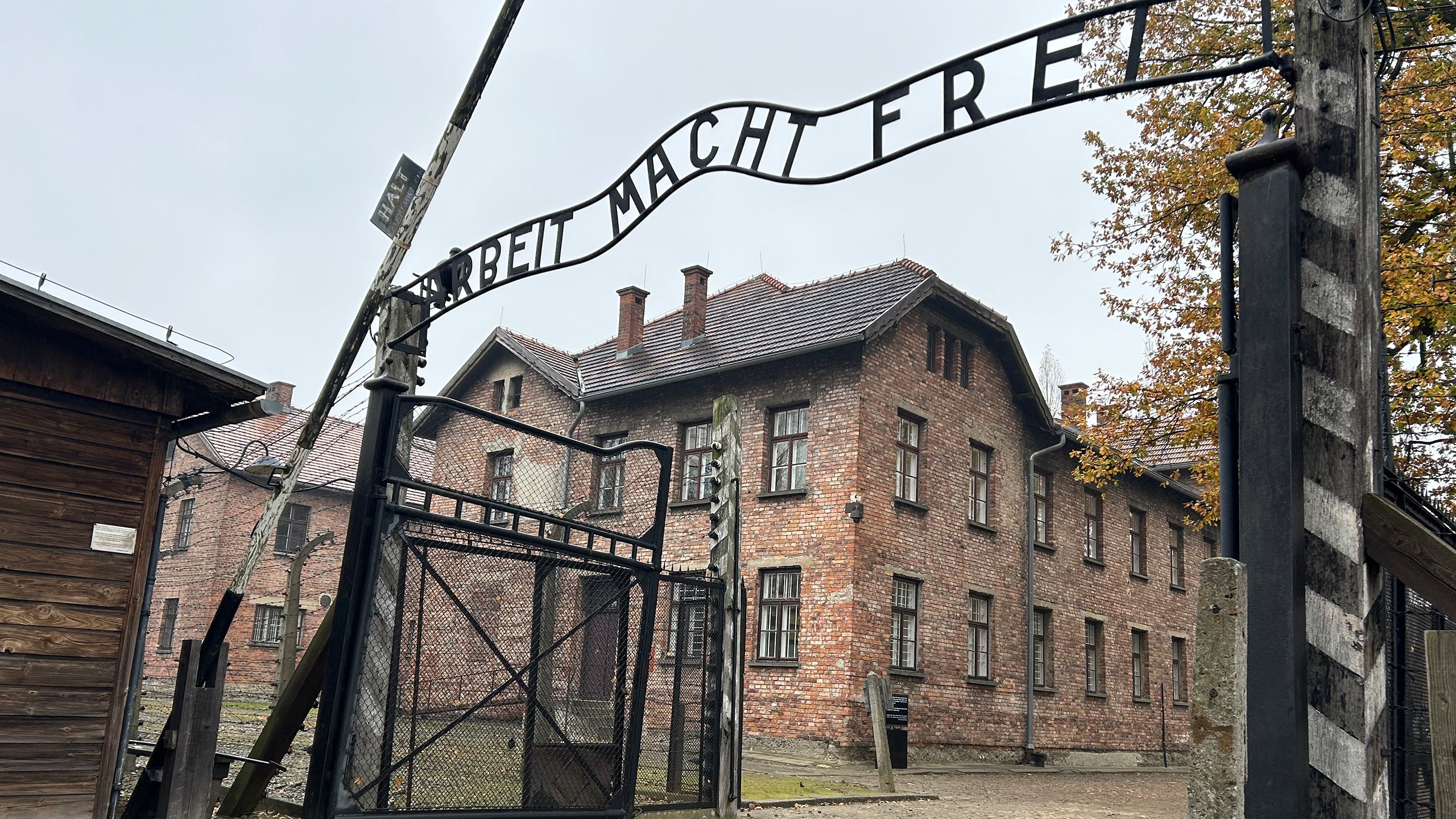 The True Story Of The Tattooist Of Auschwitz