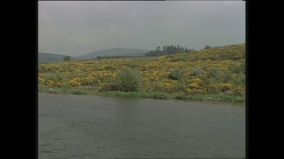 De Zon En De Regen Wijzen De Weg
