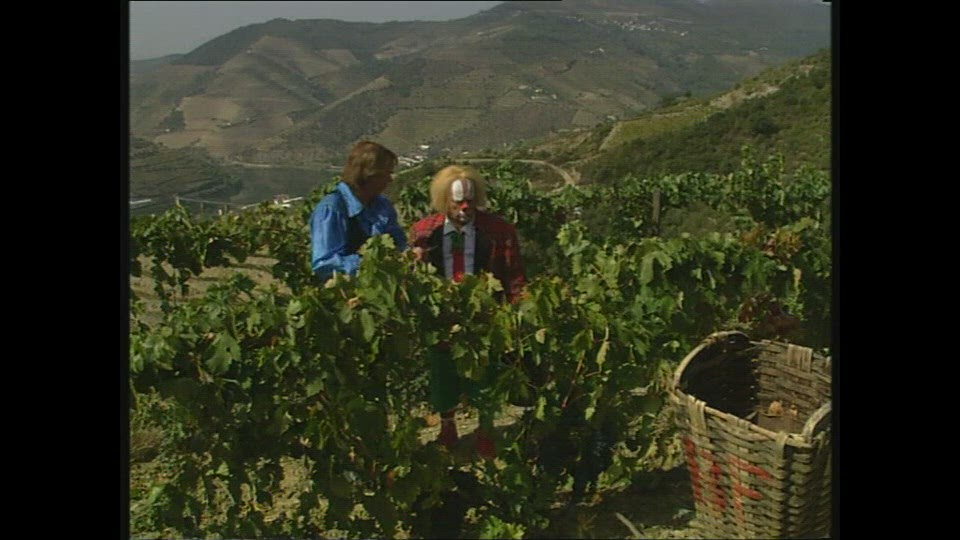 De Weg Van De Wijndruif