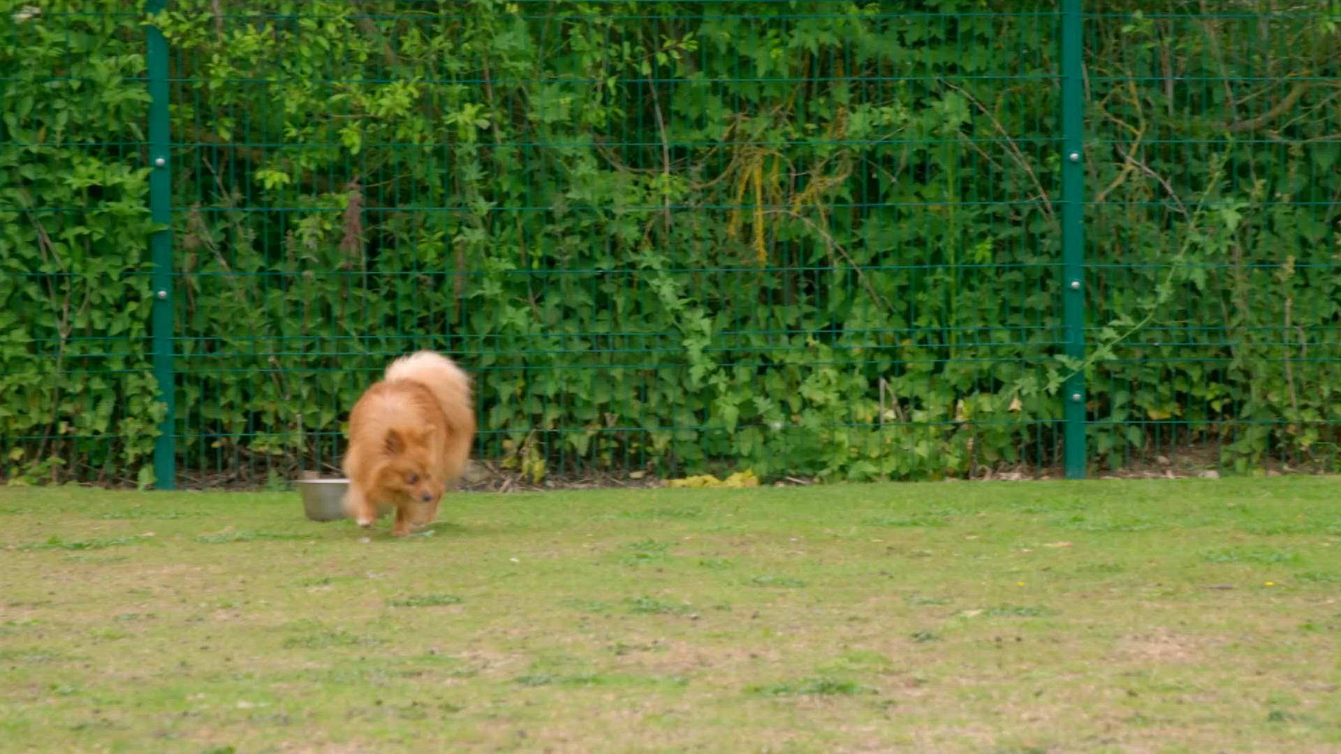 Aflevering 7