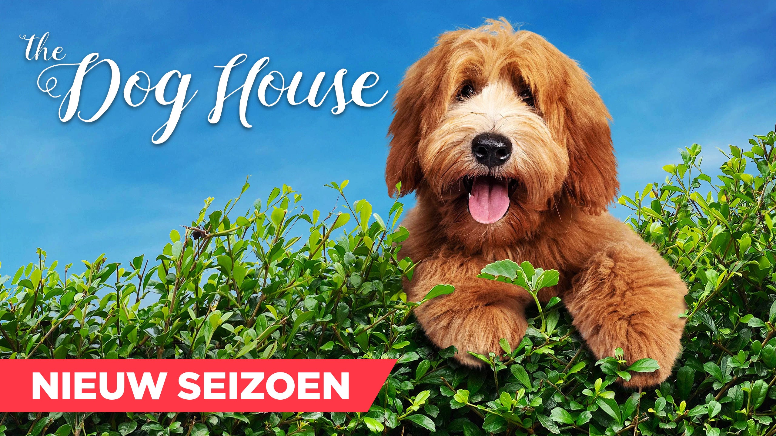 Aflevering 8