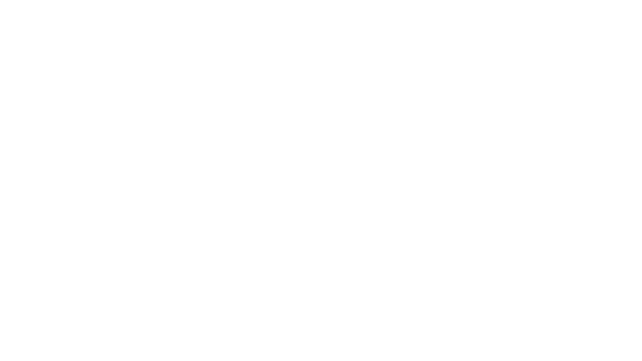 Crossing Istanbul