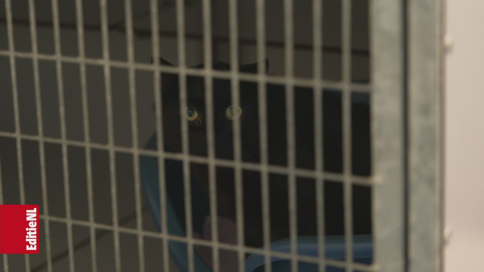 Aflevering 150