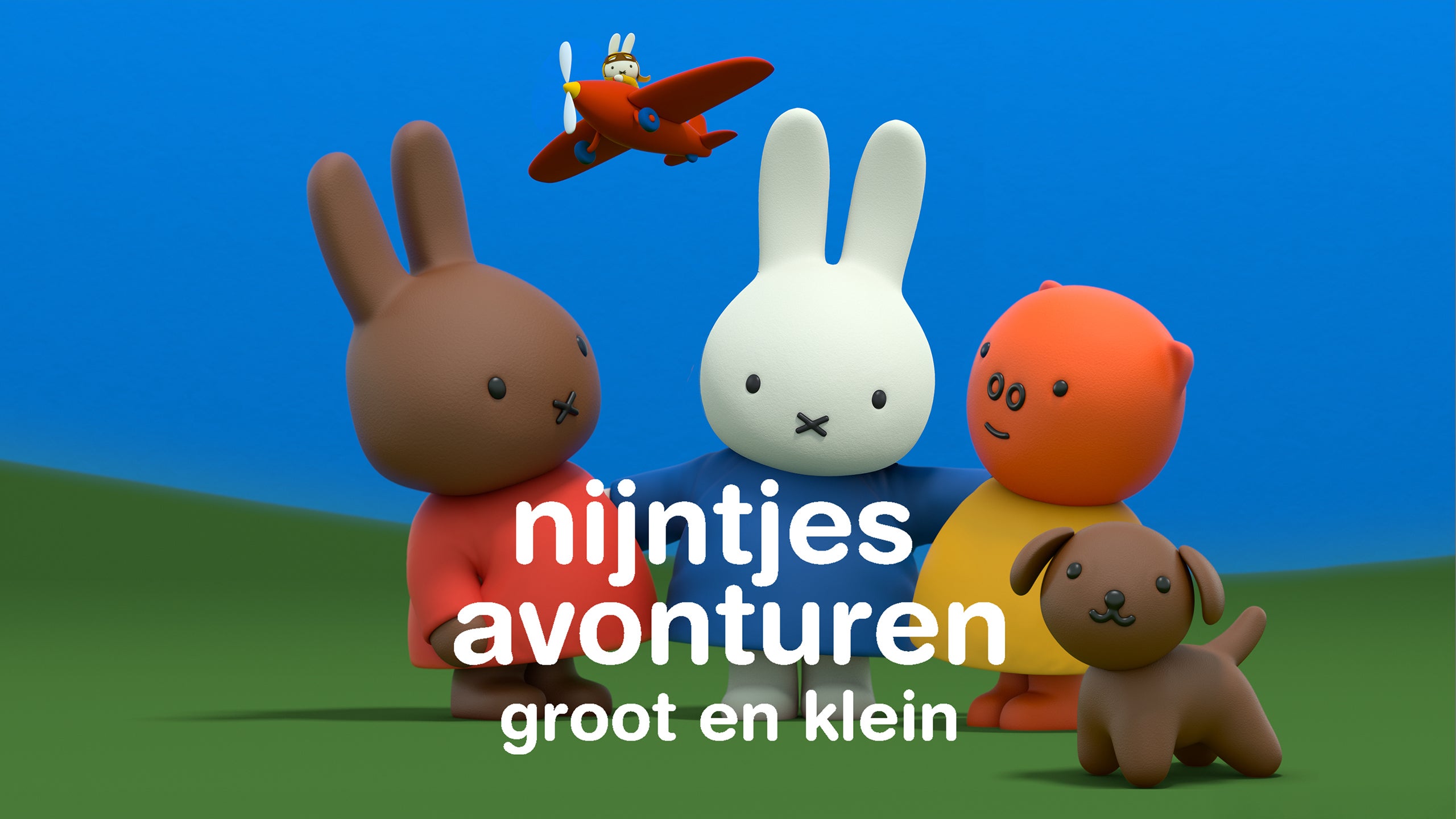 Nijntjes Avonturen Groot En Klein