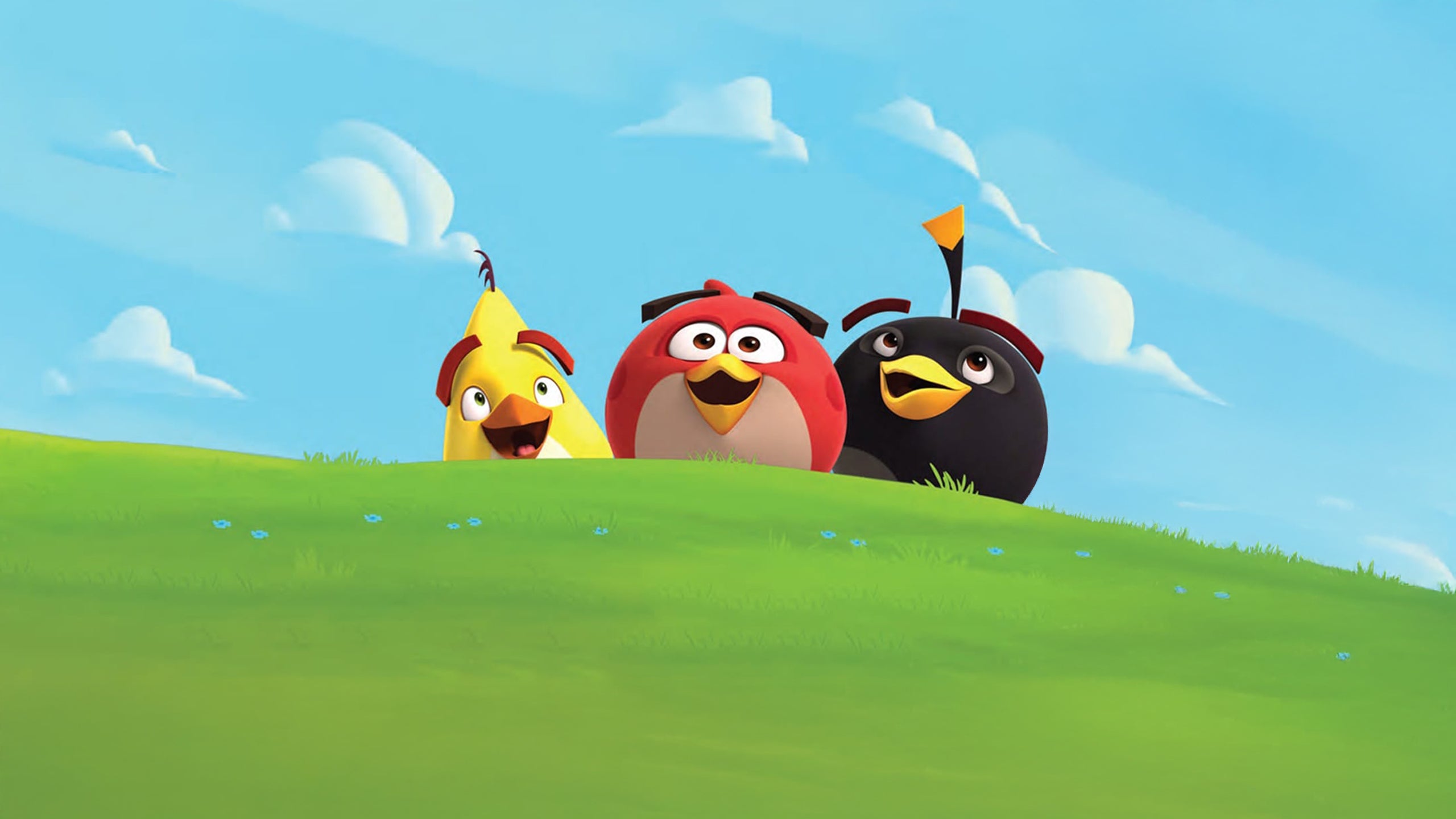 Angry Birds Compilations