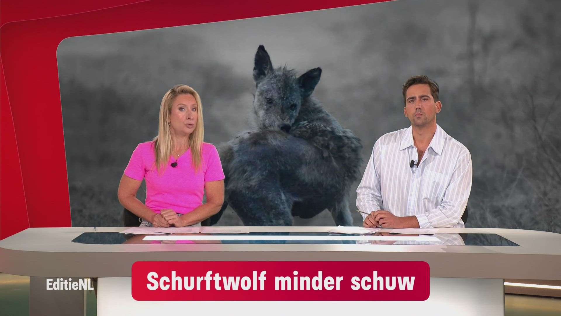 Aflevering 211