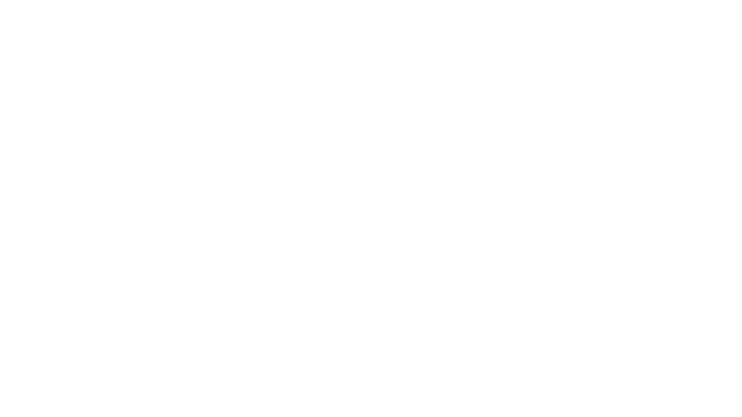 The Wedding Year