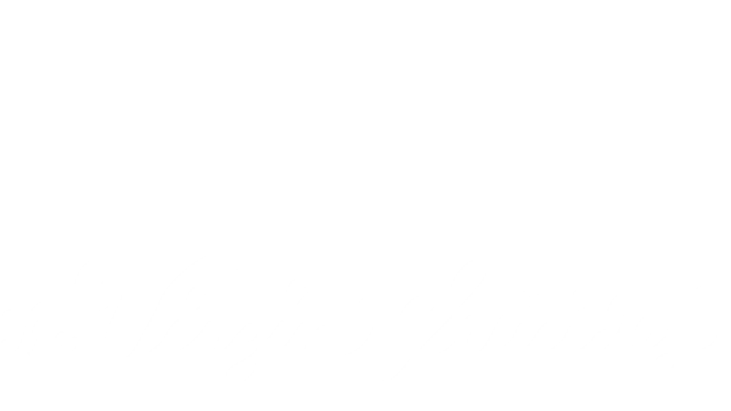 The Virgin Suicides