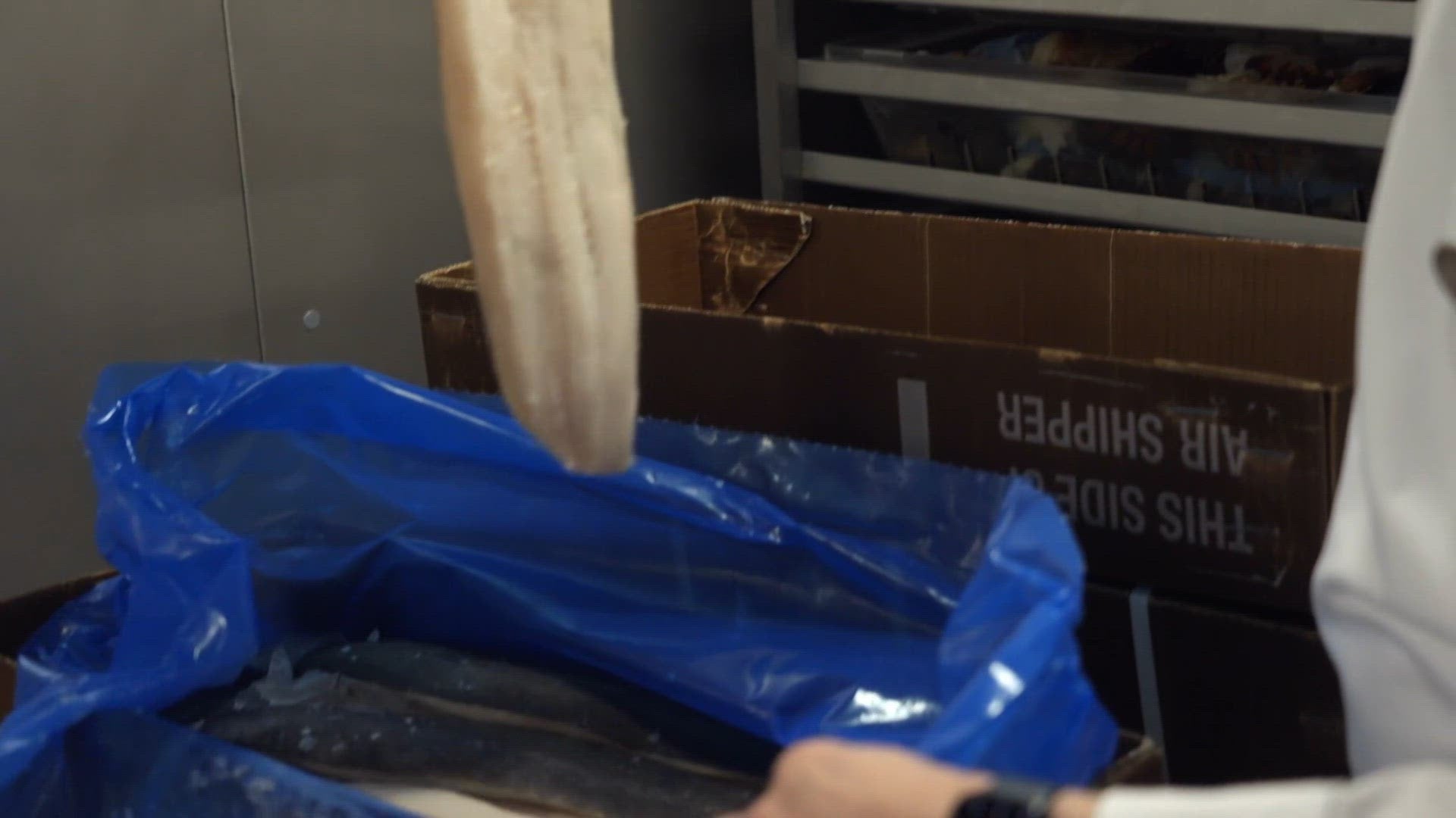 Aflevering 5