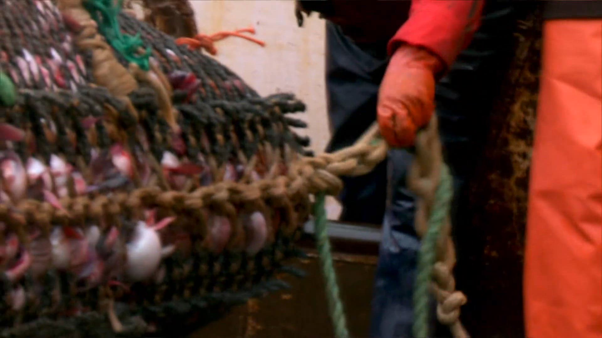 American Seafoods
